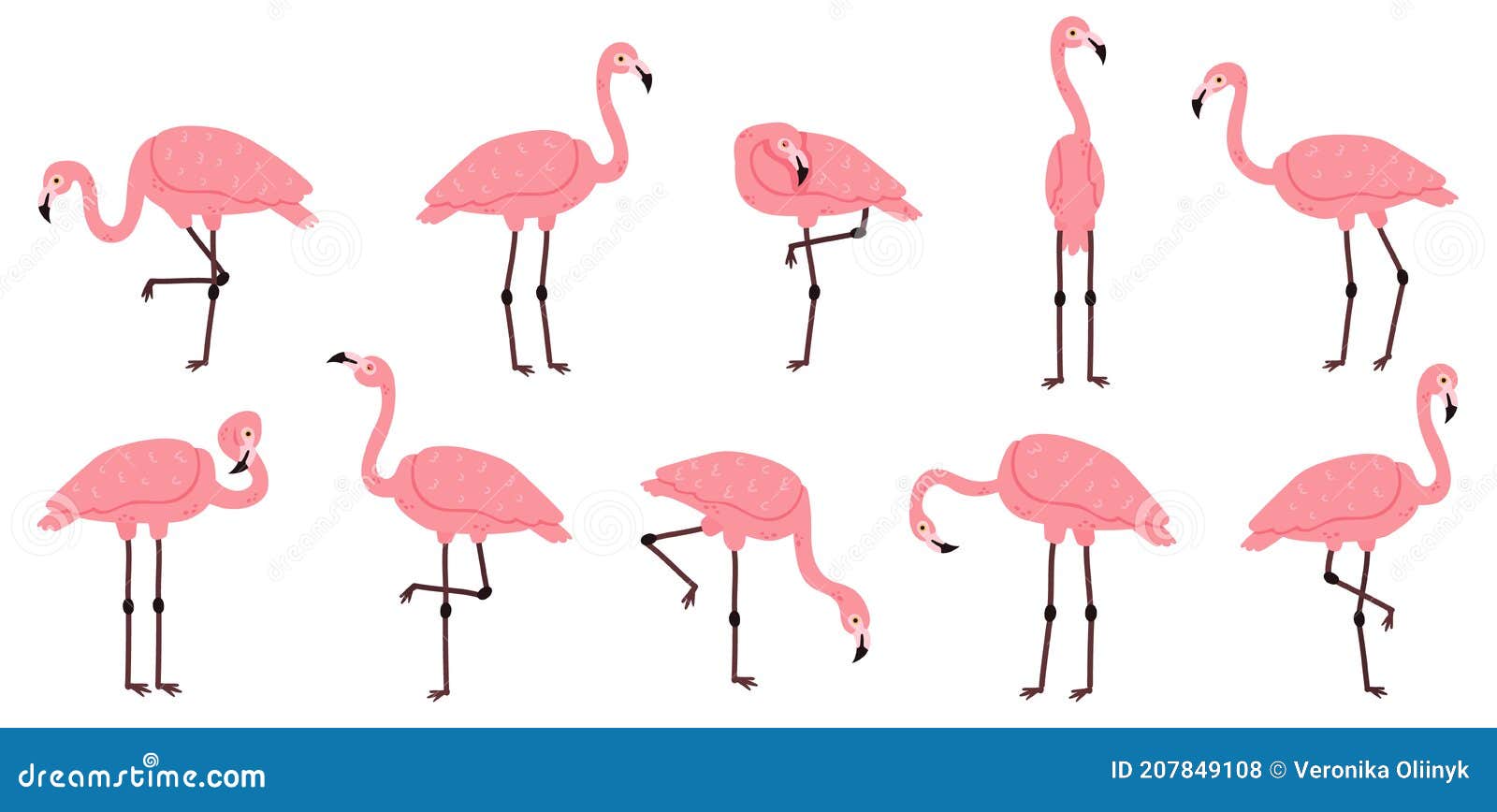 Pink Flamingo. Exotic Flamingos Birds, Rose Feathers African Animal ...