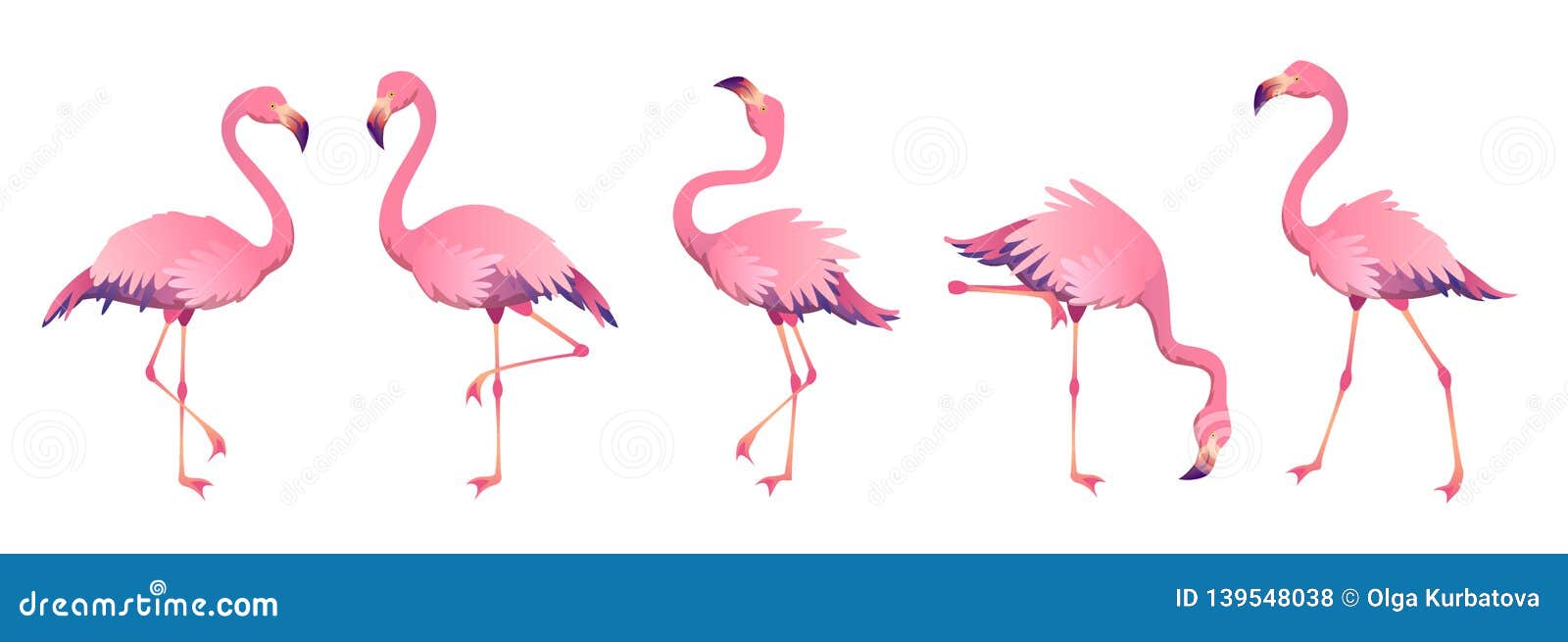 pink flamingos. cute flamingo animal exotic nature wild fauna zoo bird beak plumage legs tropical african beach art