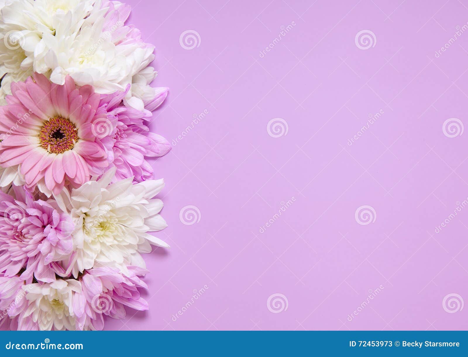 Floral Header Footer Stock Images - Download 8 Photos
