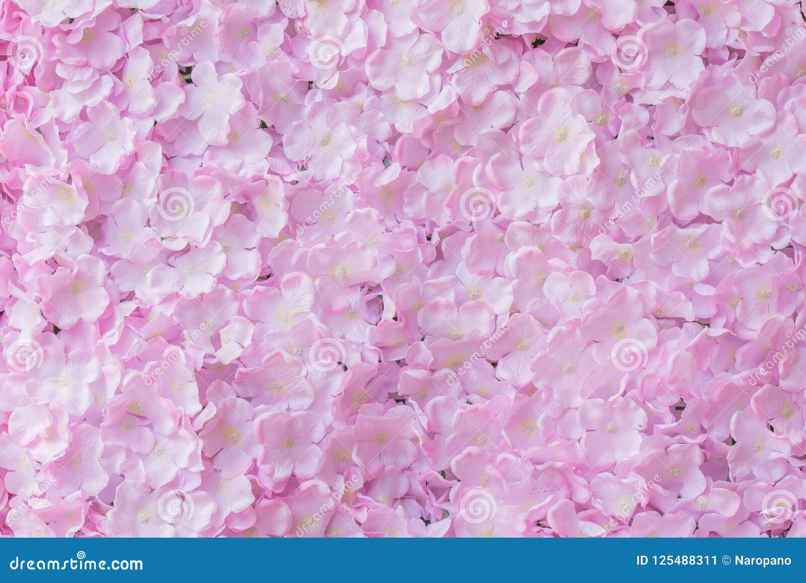 Pink flower background stock image. Image of light, bright - 125488311