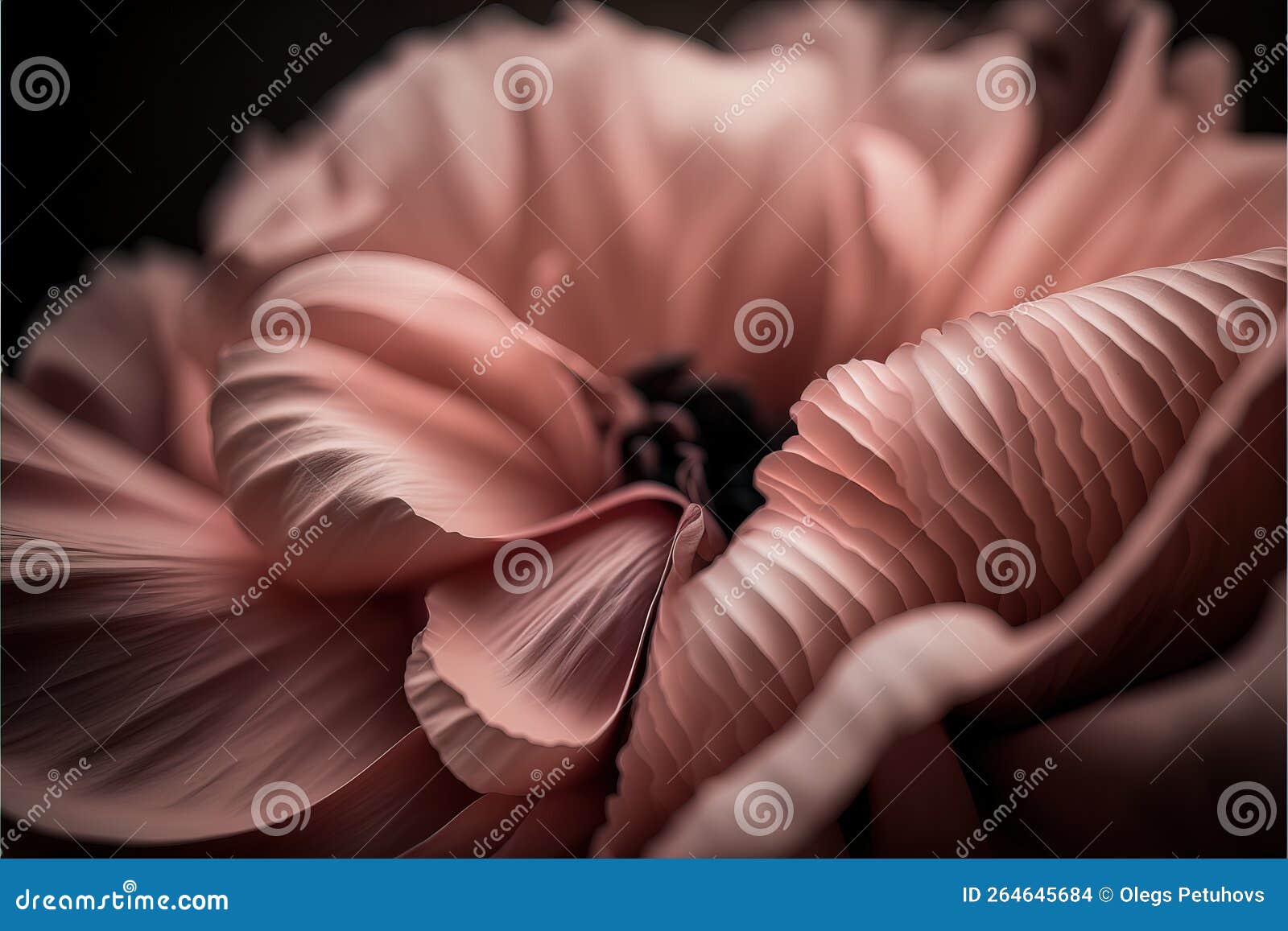 A Pink Flower with a Black Center and a Black Center in the Center of the Flower is a Dark