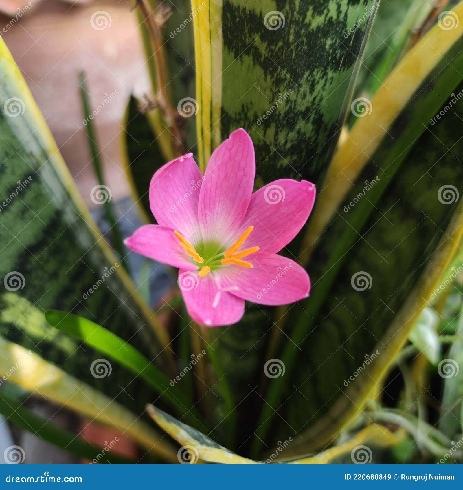 My Image 9