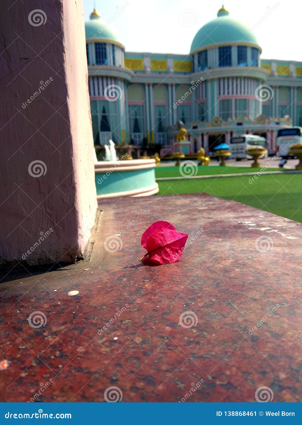 A pink flower fallen on the floor - using for wallpaper or web background.
