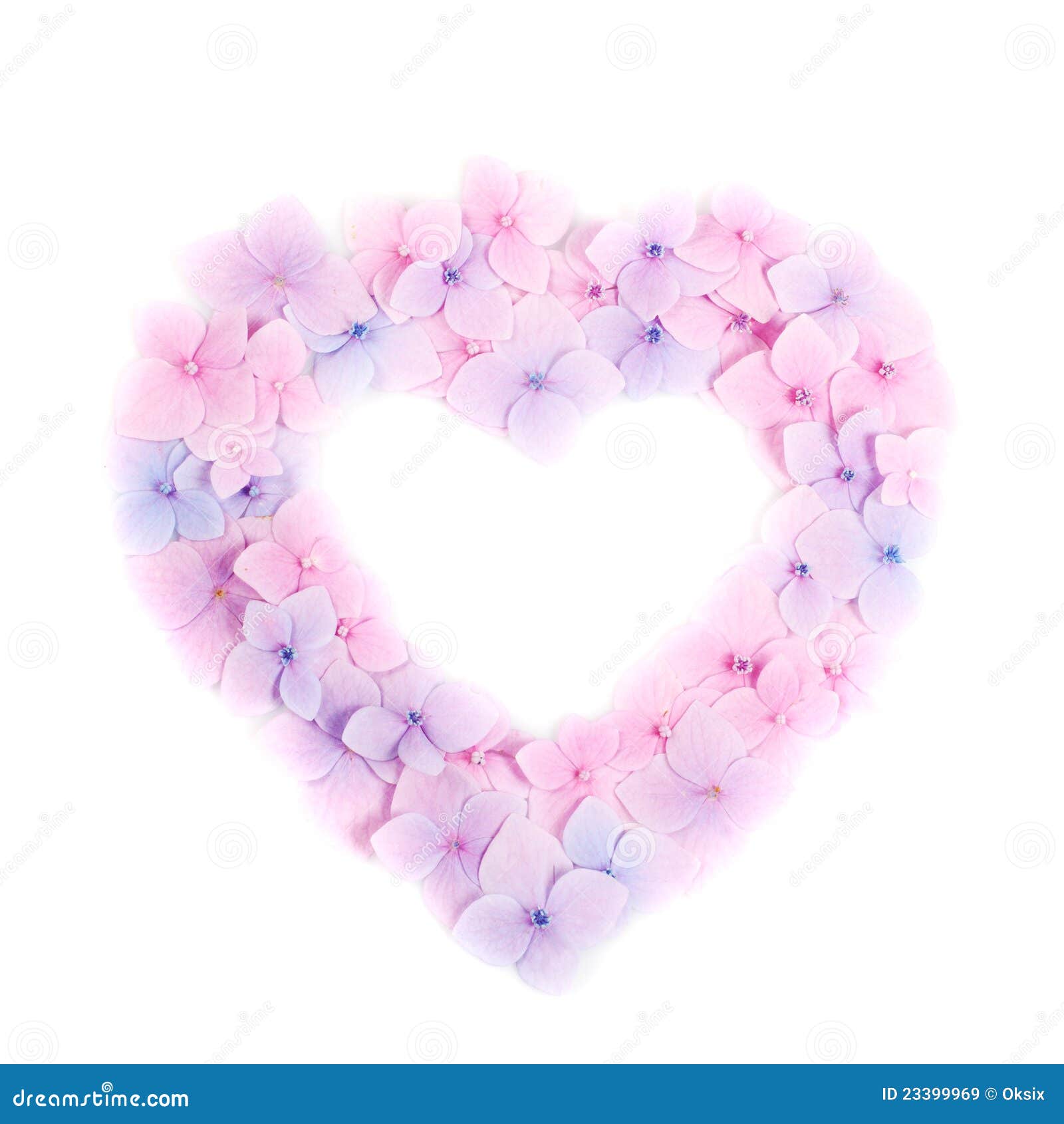 Pink flower heart stock image. Image of abstract, hydrangea 23399969