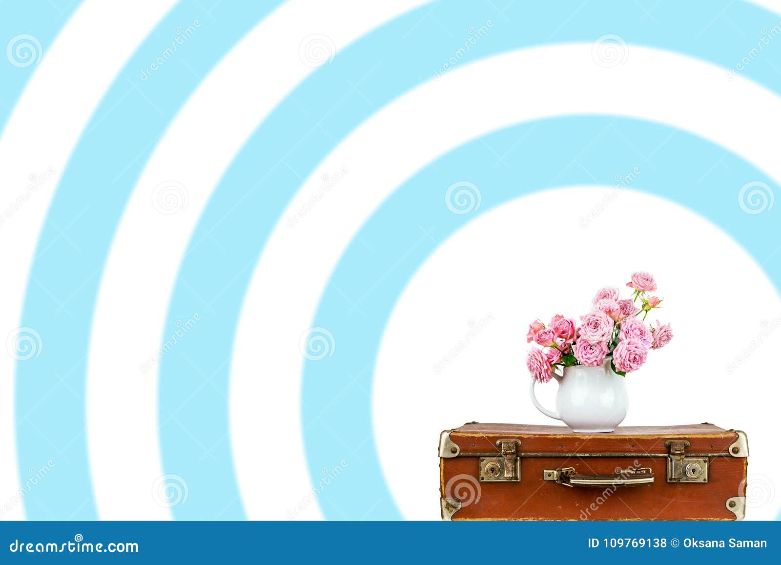 Pink Flowers in Jug on Old Brown Vintage Suitcase. Stock Photo - Image ...
