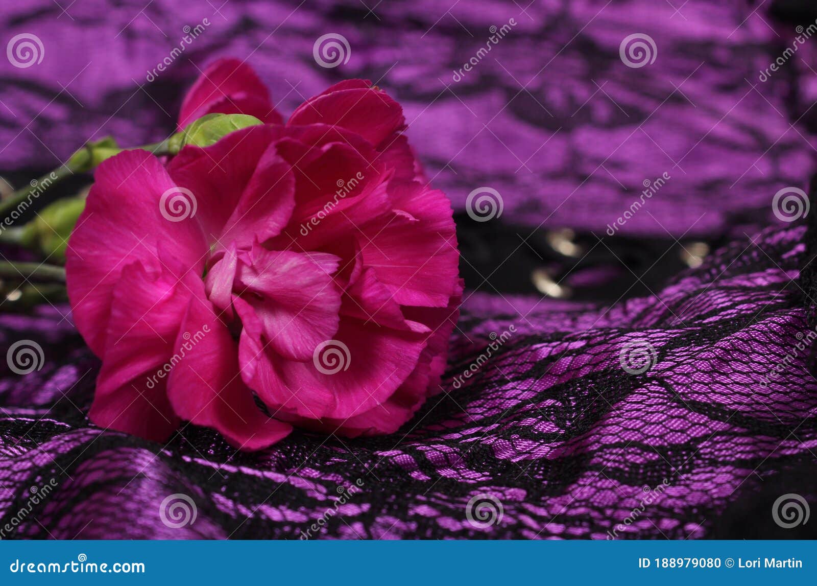 Pink Flowers on Purple and Black Fabric Stock Photo - Image of ...