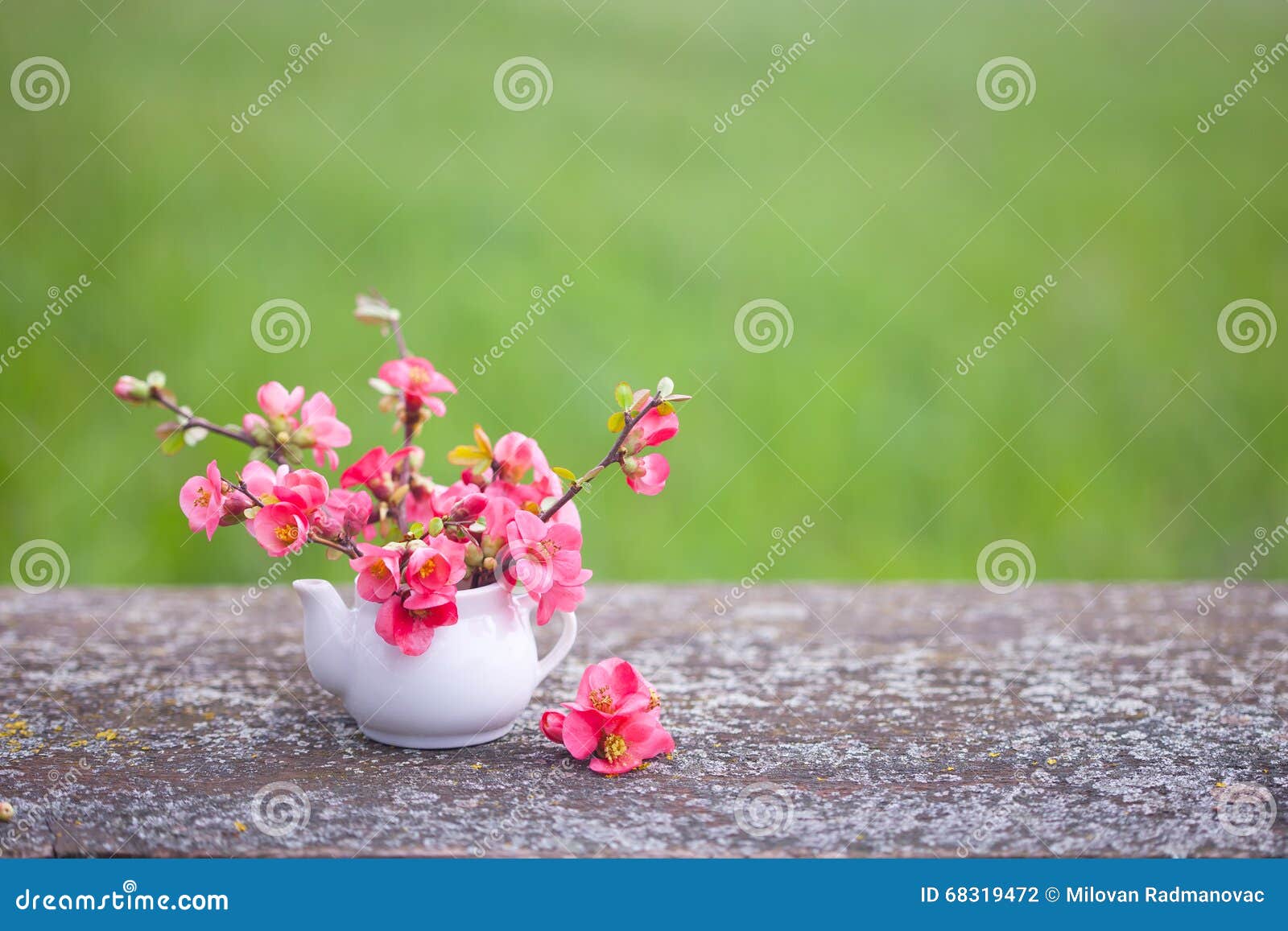Pink flowers in small vase stock photo. Image of board 68319472