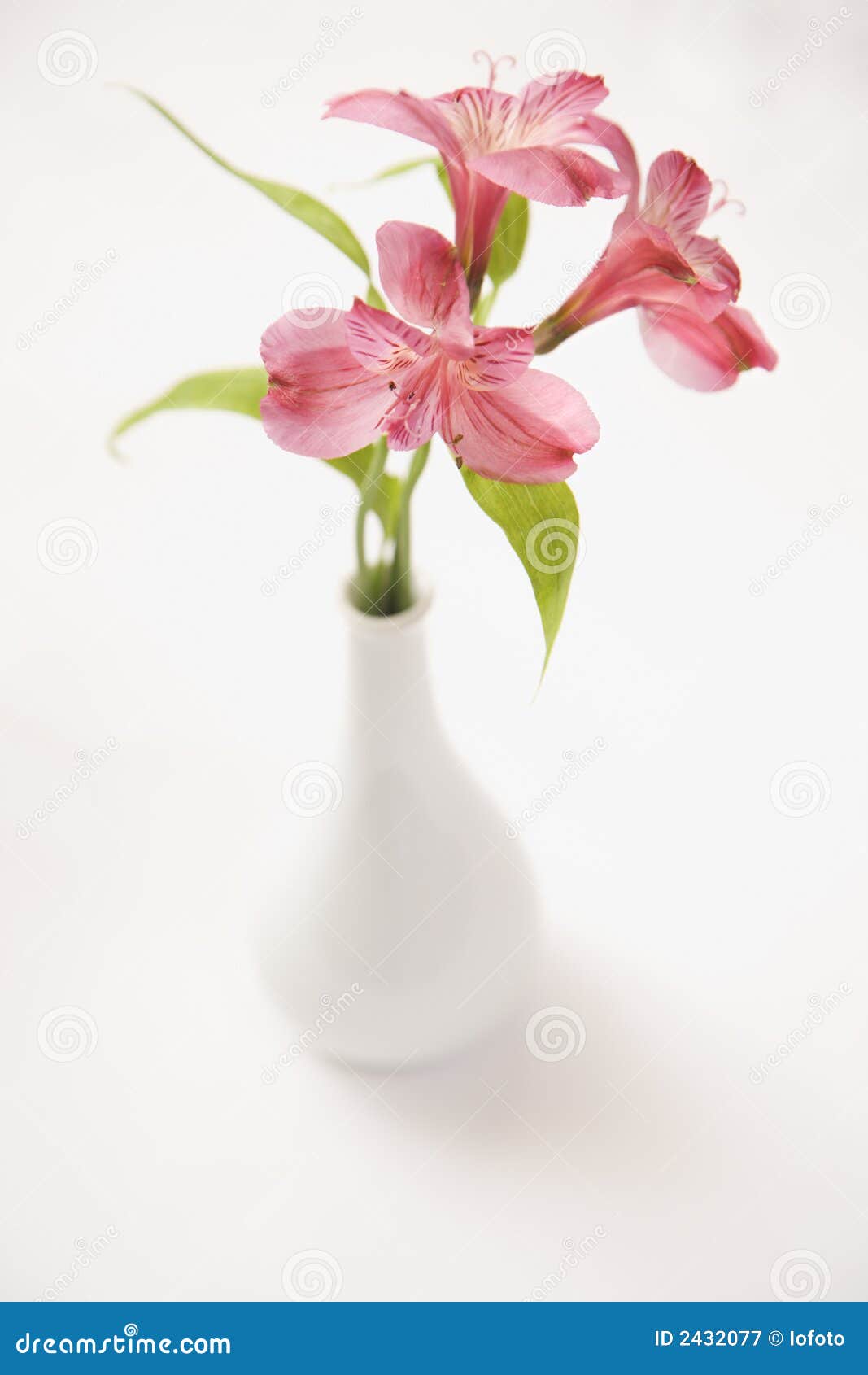 Pink flowers in vase. stock image. Image of vertical, bouquet 2432077