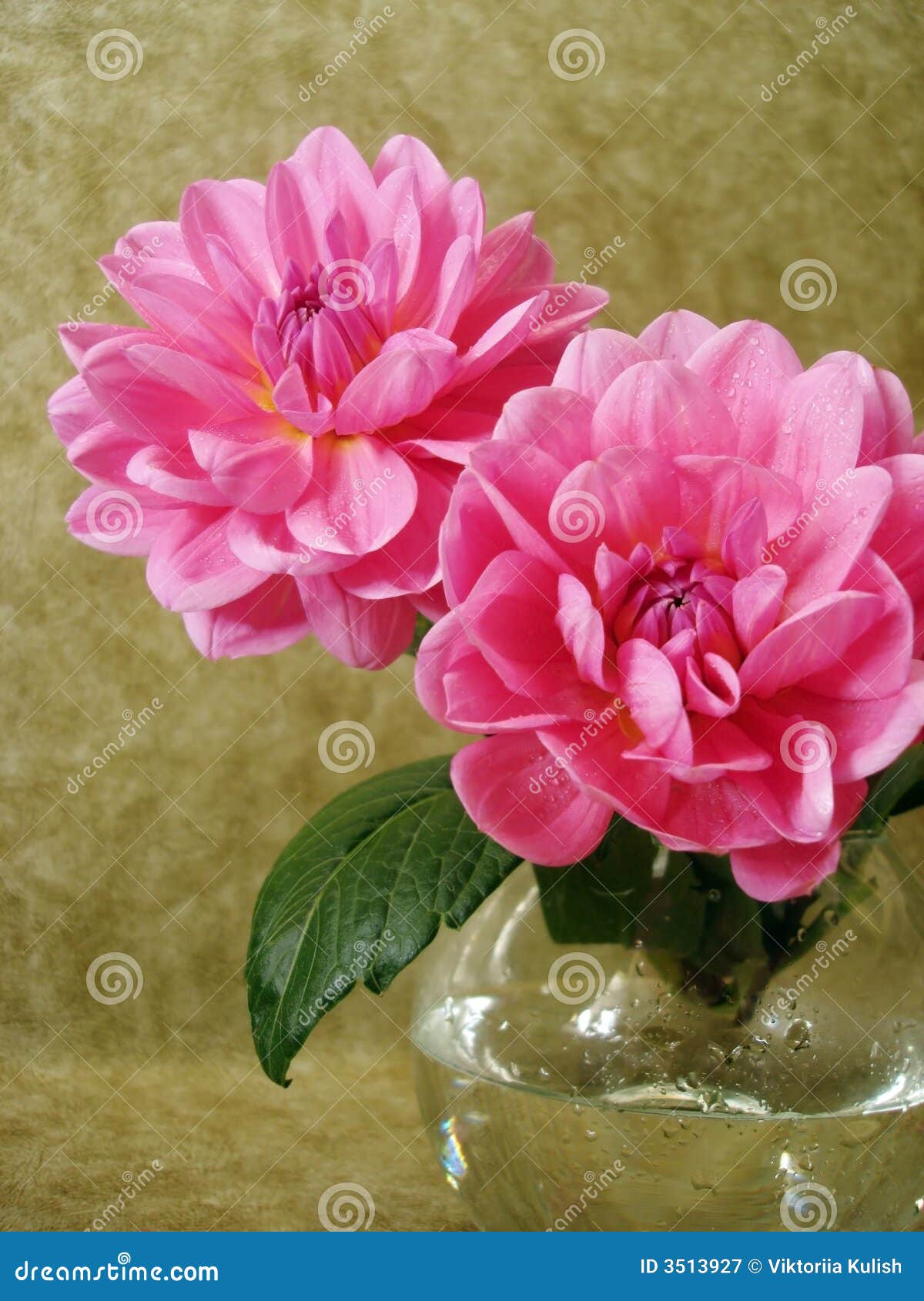 Pink flowers in vase stock image. Image of arrangement 3513927
