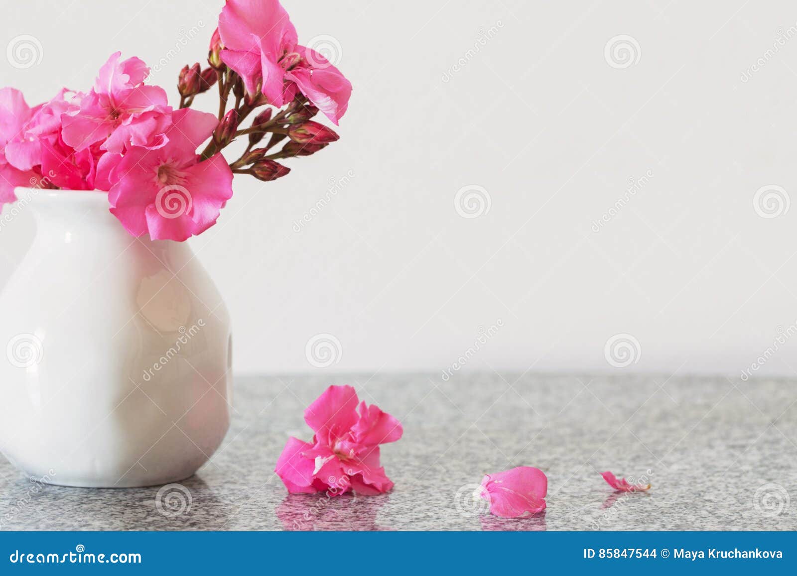 Pink flowers in vase stock photo. Image of decoration 85847544