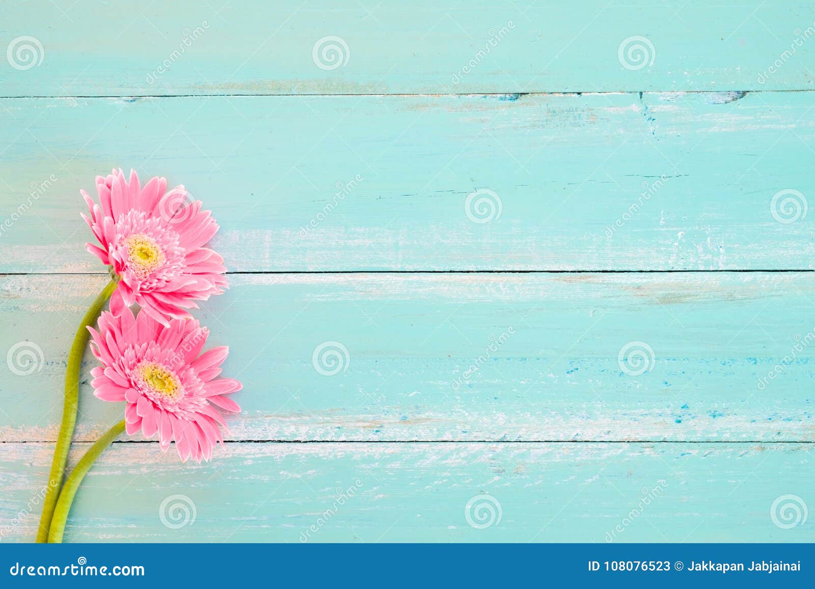 Pink Flowers on Vintage Wooden in Blue Paint Background, Stock Image -  Image of bouquet, petal: 108076523