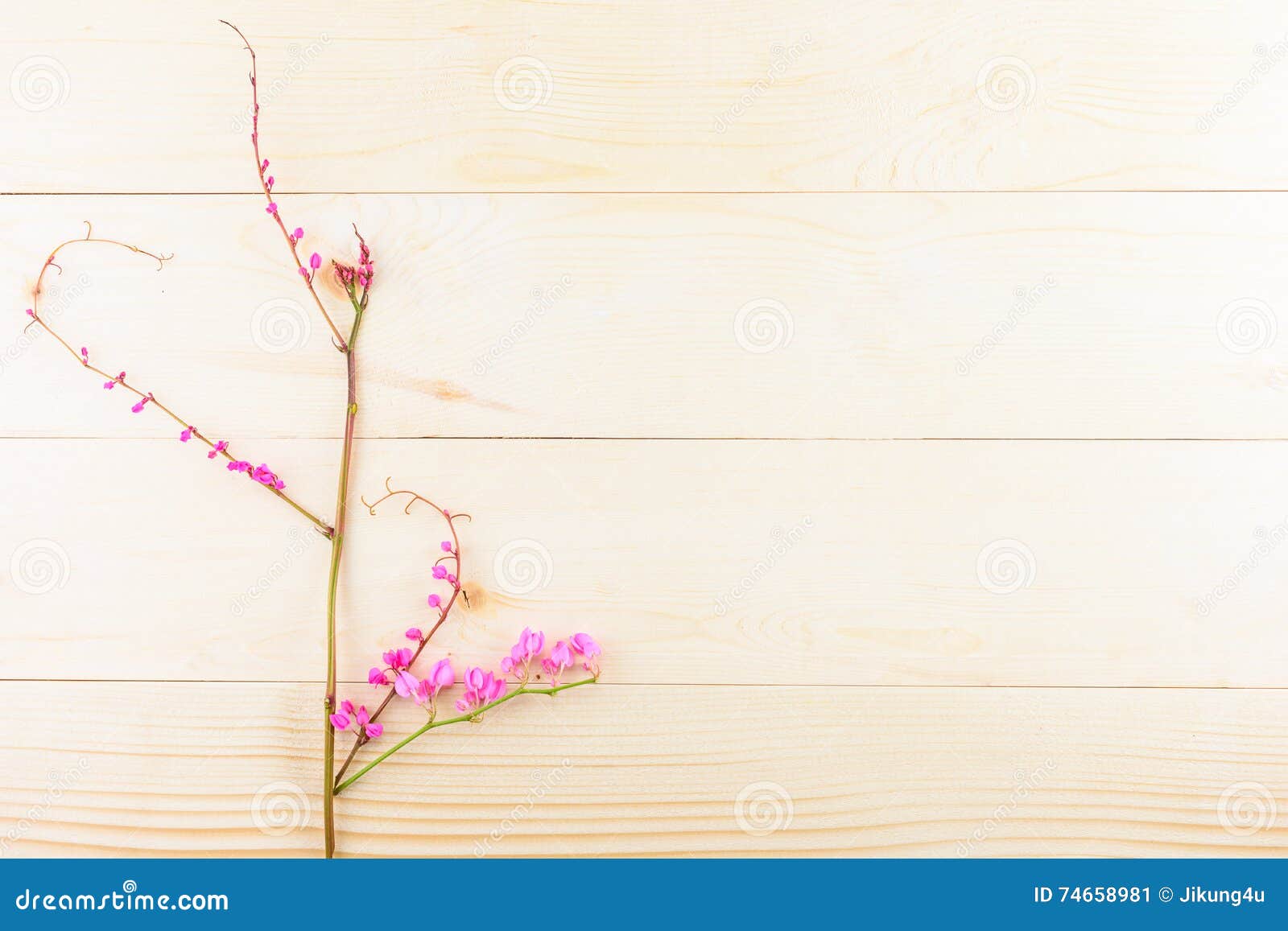 Pink flowers on wooden stock image. Image of beginning 74658981