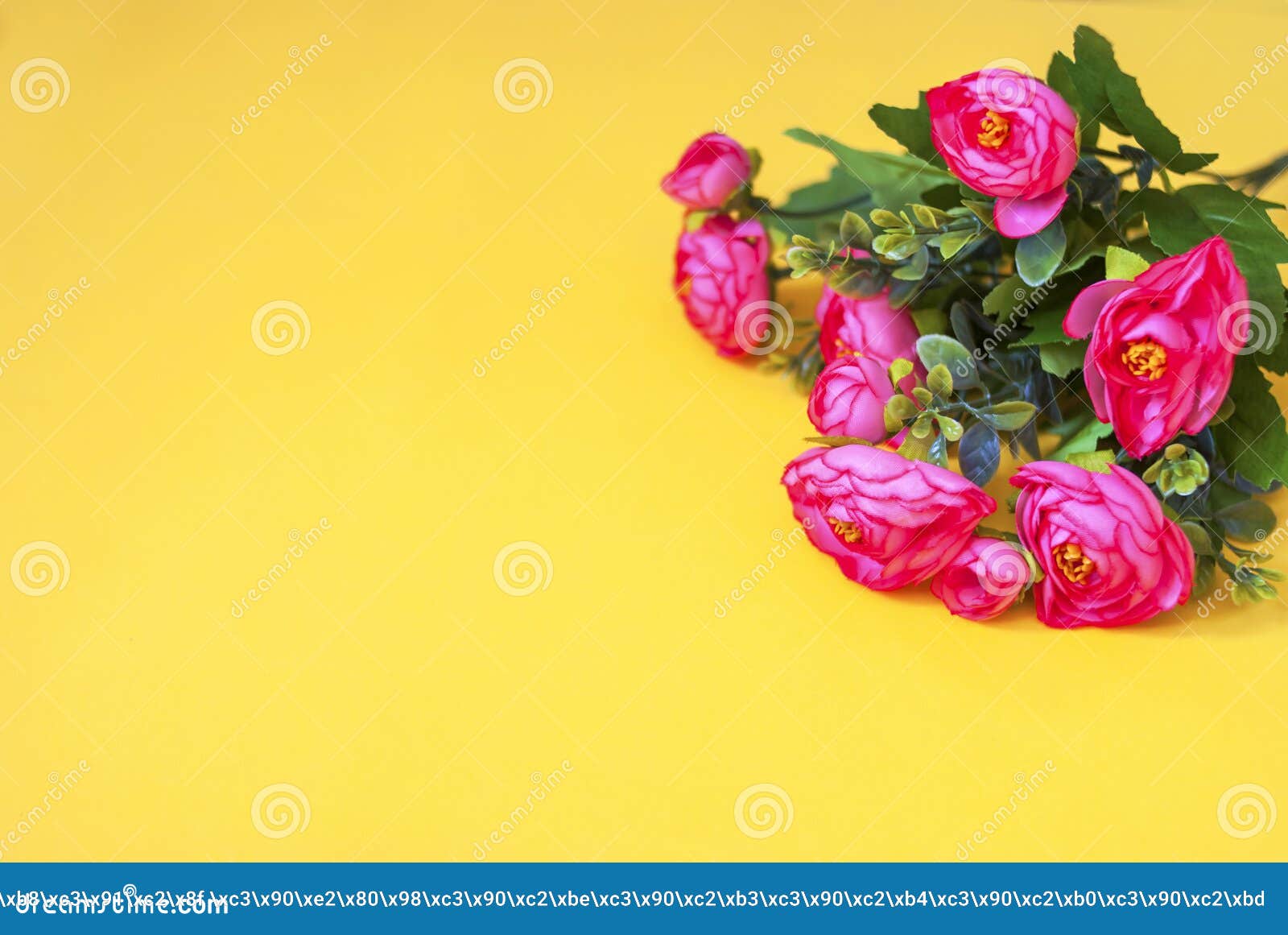 Pink Flowers on a Yellow Background. Flat Lay Stock Photo Image of