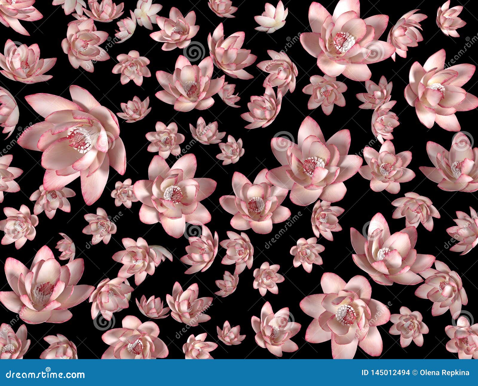 Pink Flying Flowers on a Black Background As a Wallpaper Stock Illustration  - Illustration of lotus, pink: 145012494