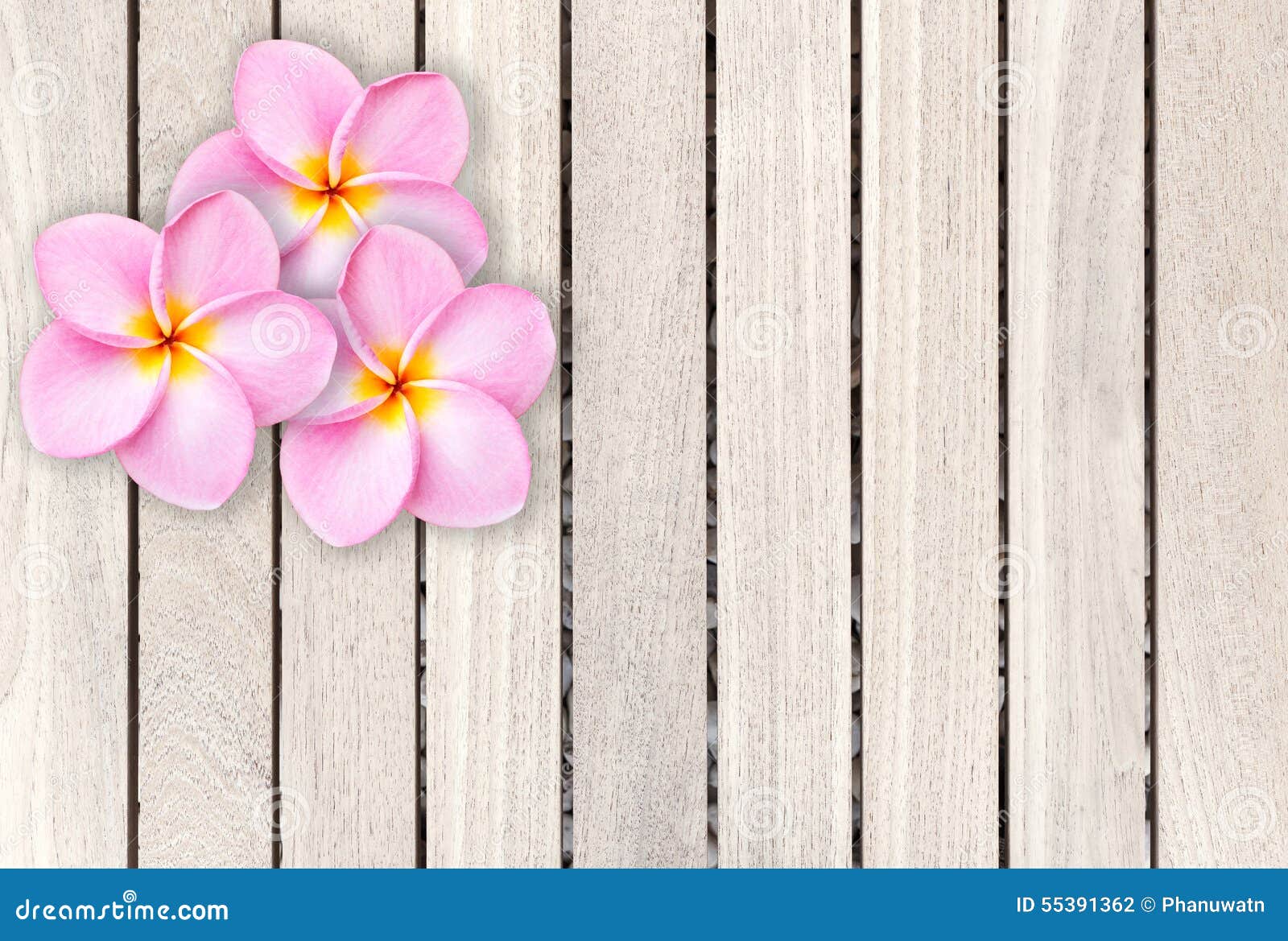 107,152 Pink Grey Background Stock Photos - Free & Royalty-Free