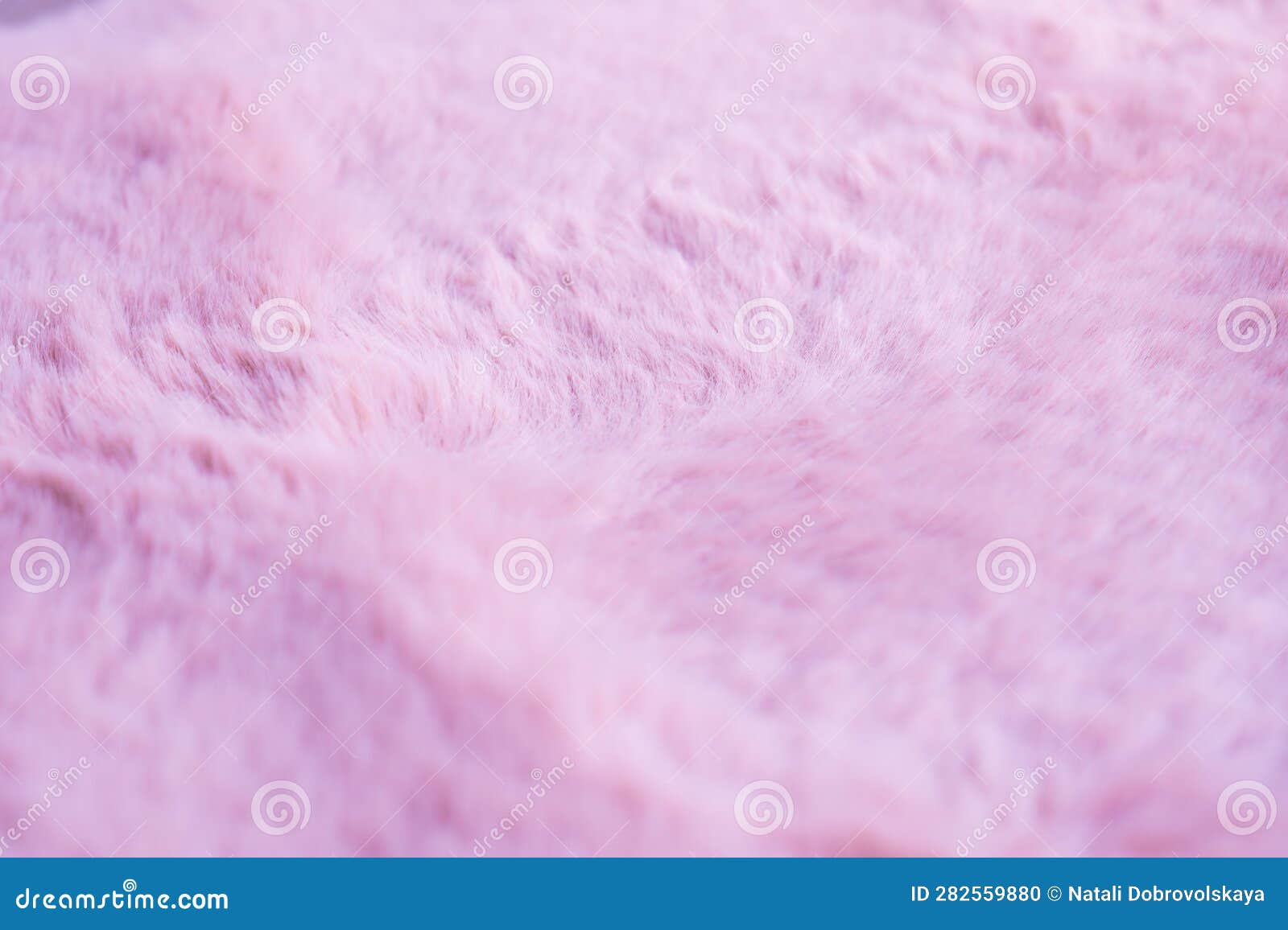 Pink Fur Background,fluffy Powdery Carpet Stock Photo Image of