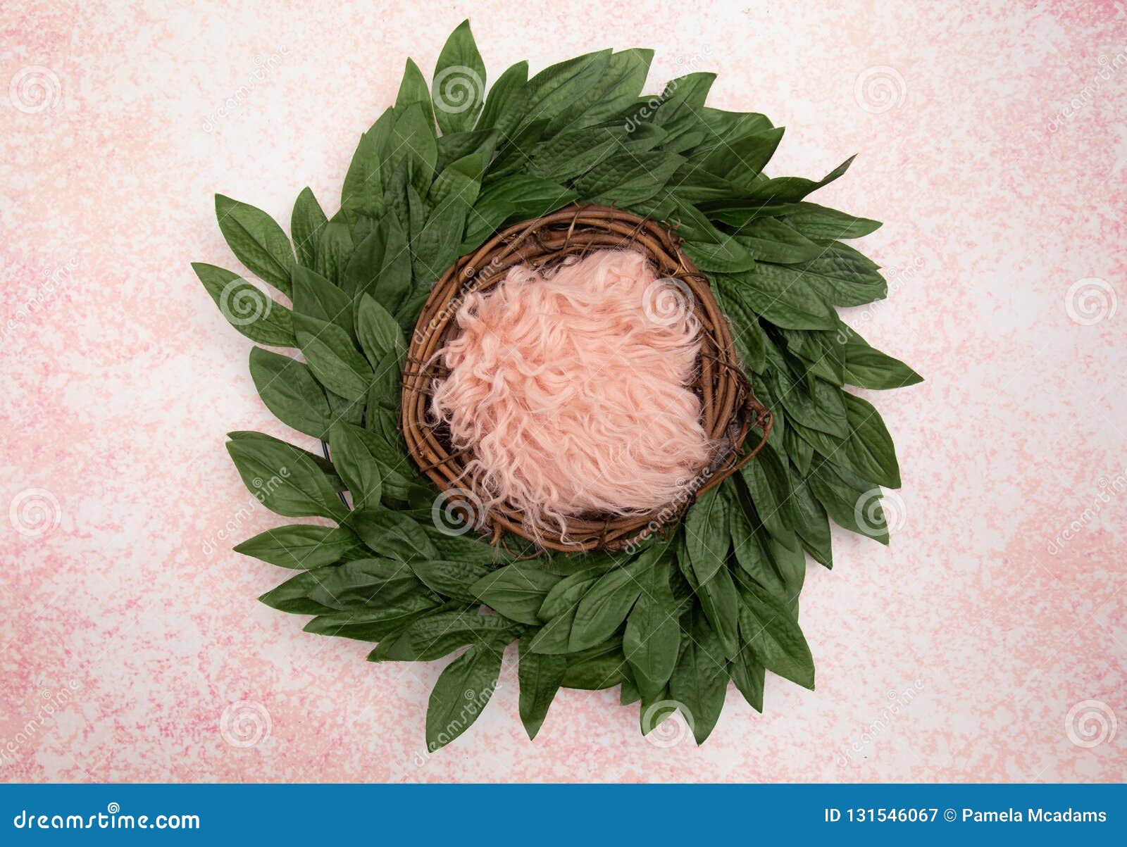 2 450 Newborn Backdrop Photos Free Royalty Free Stock Photos From Dreamstime