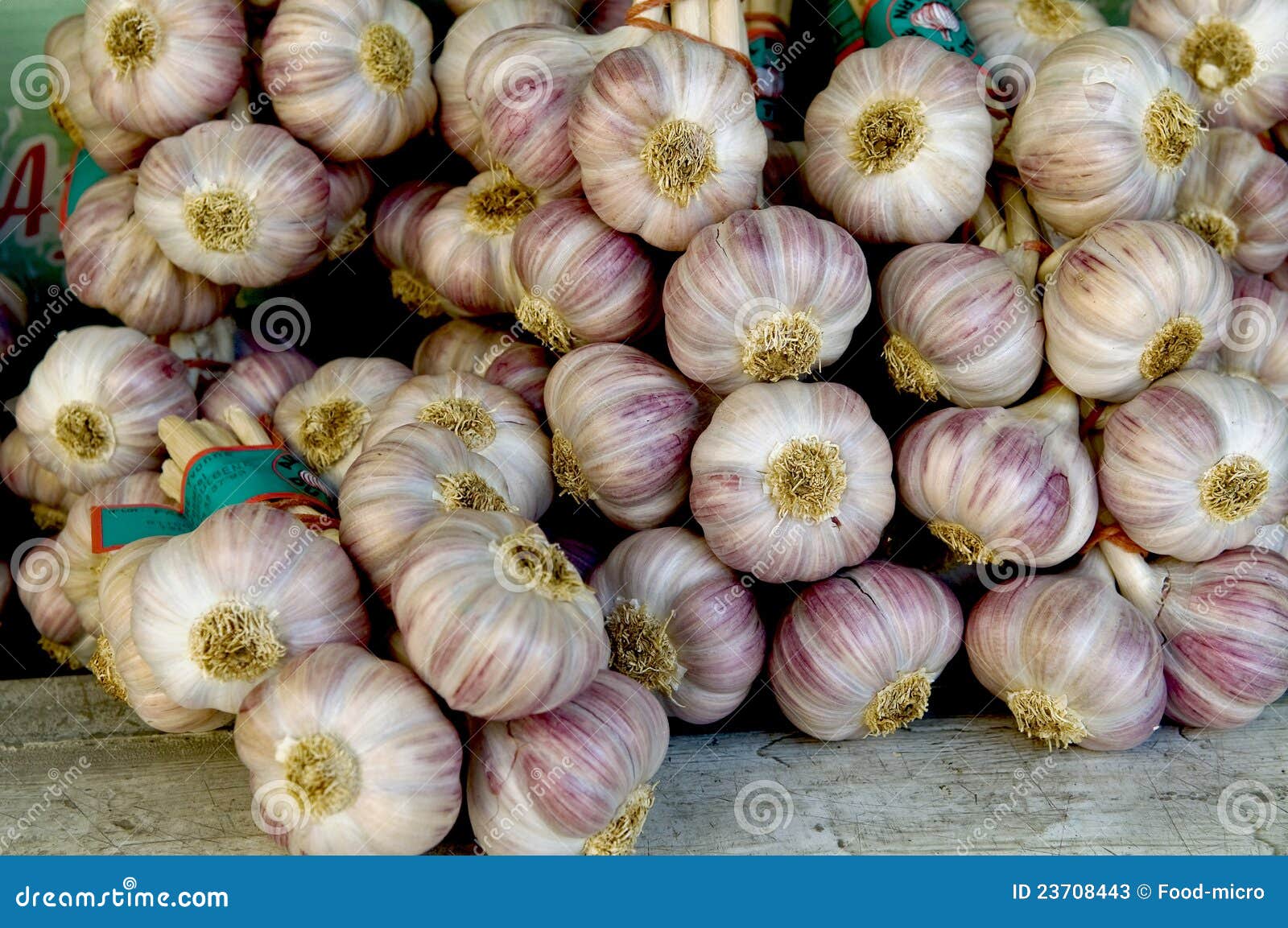 Pink garlic from Lautrec editorial stock photo. Image of ingredient