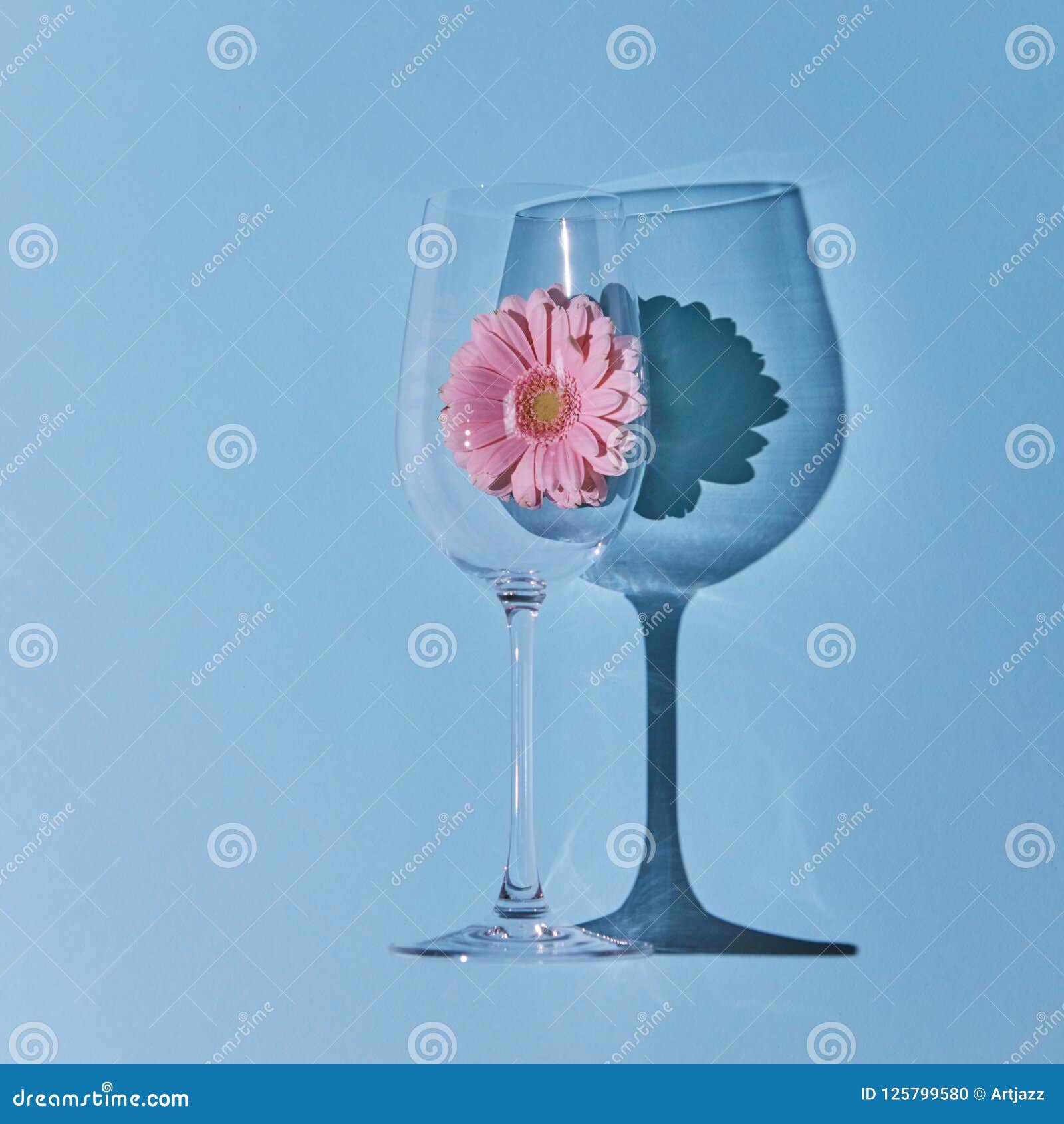 Pink Gerbera in a Glass on a Blue Background. Spring Concept Stock ...