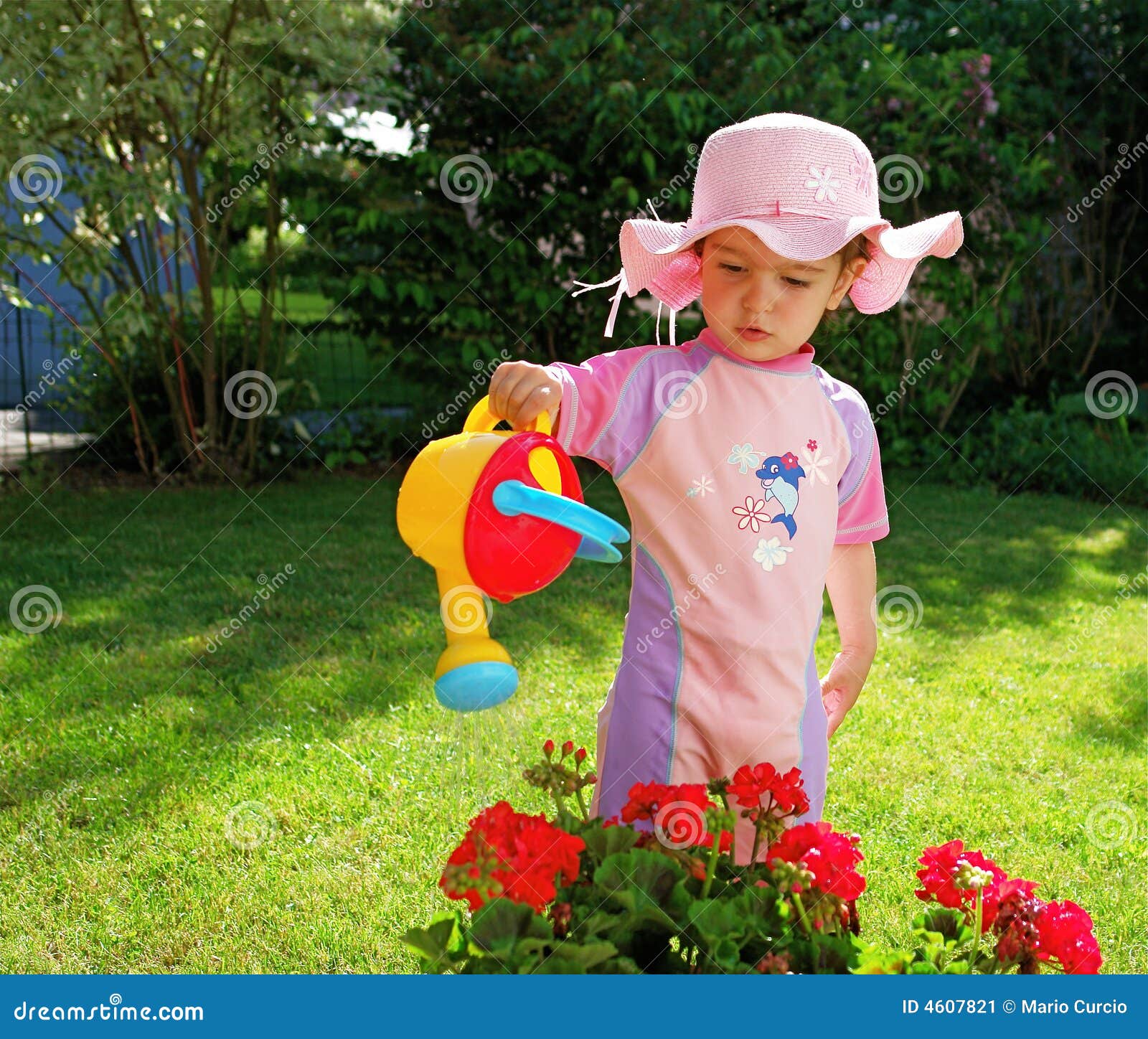 The pink girl stock image. Image of gardening, nature 4607821