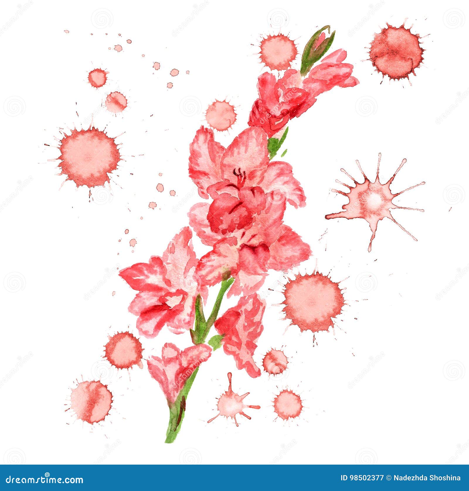 Gladiolus August Birth Flower Drawing Outline Gladiolus Drawing
