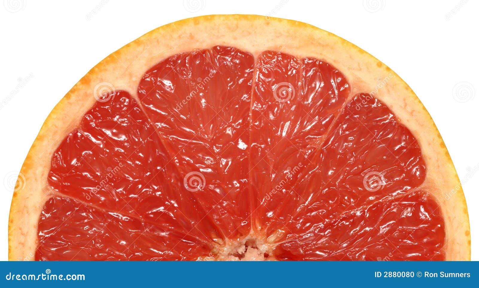 Pink Grapefruit Half stock photo. Image of juice, health 2880080