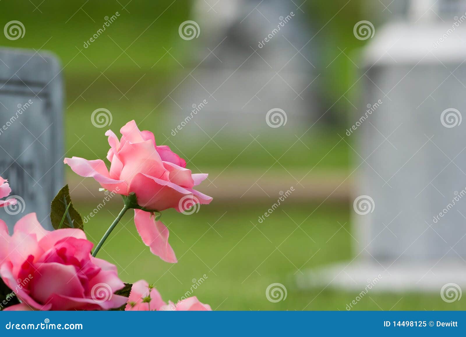 Pink grave flowers stock image. Image of tombstones, yard 14498125