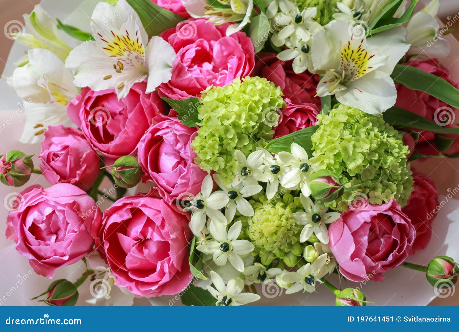 Pink-green Bouquet of Roses, White Lilies, Hydrangeas Close Up Stock ...