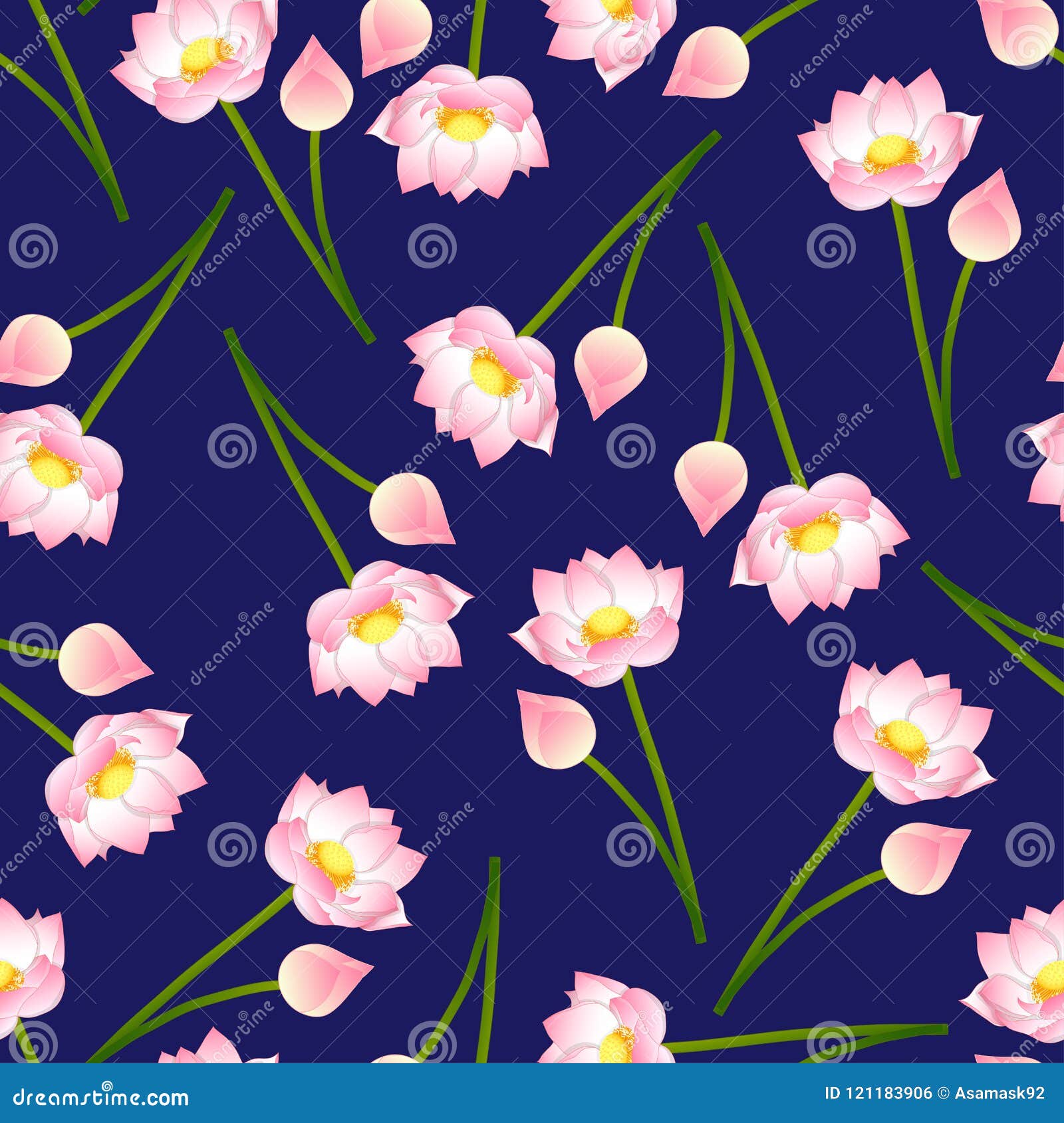 My Image 30