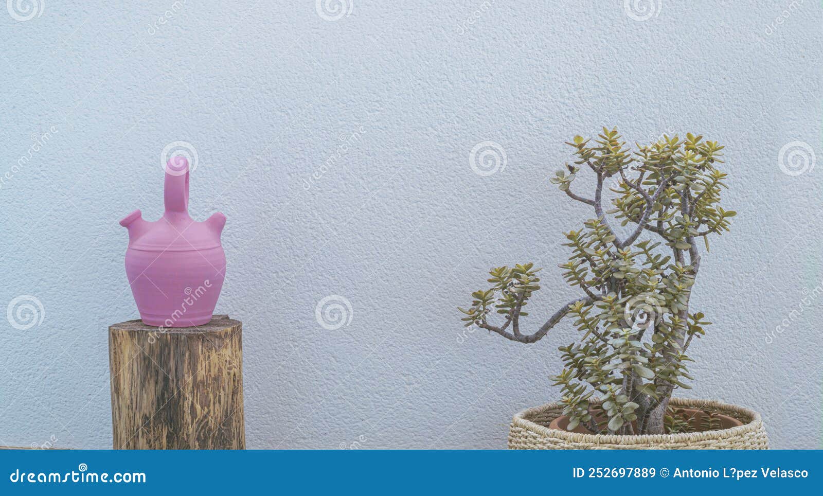 pink jug on a wooden trunk and a pot with plantain and green leaves. textured bluish wall background