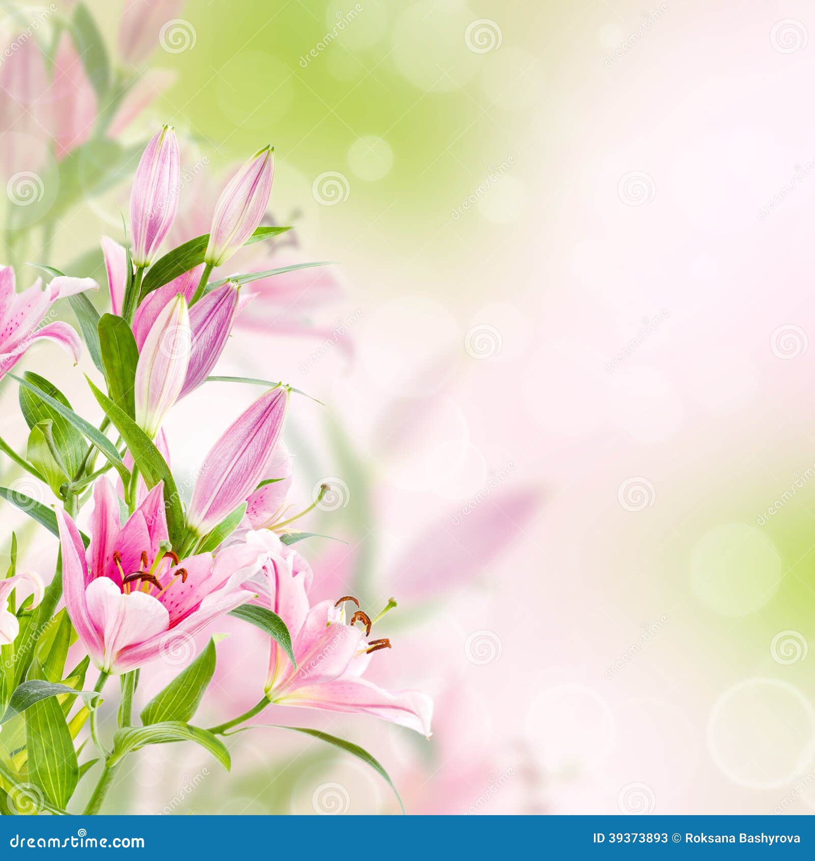 Pink lilies background stock image. Image of floral, blossom 39373893