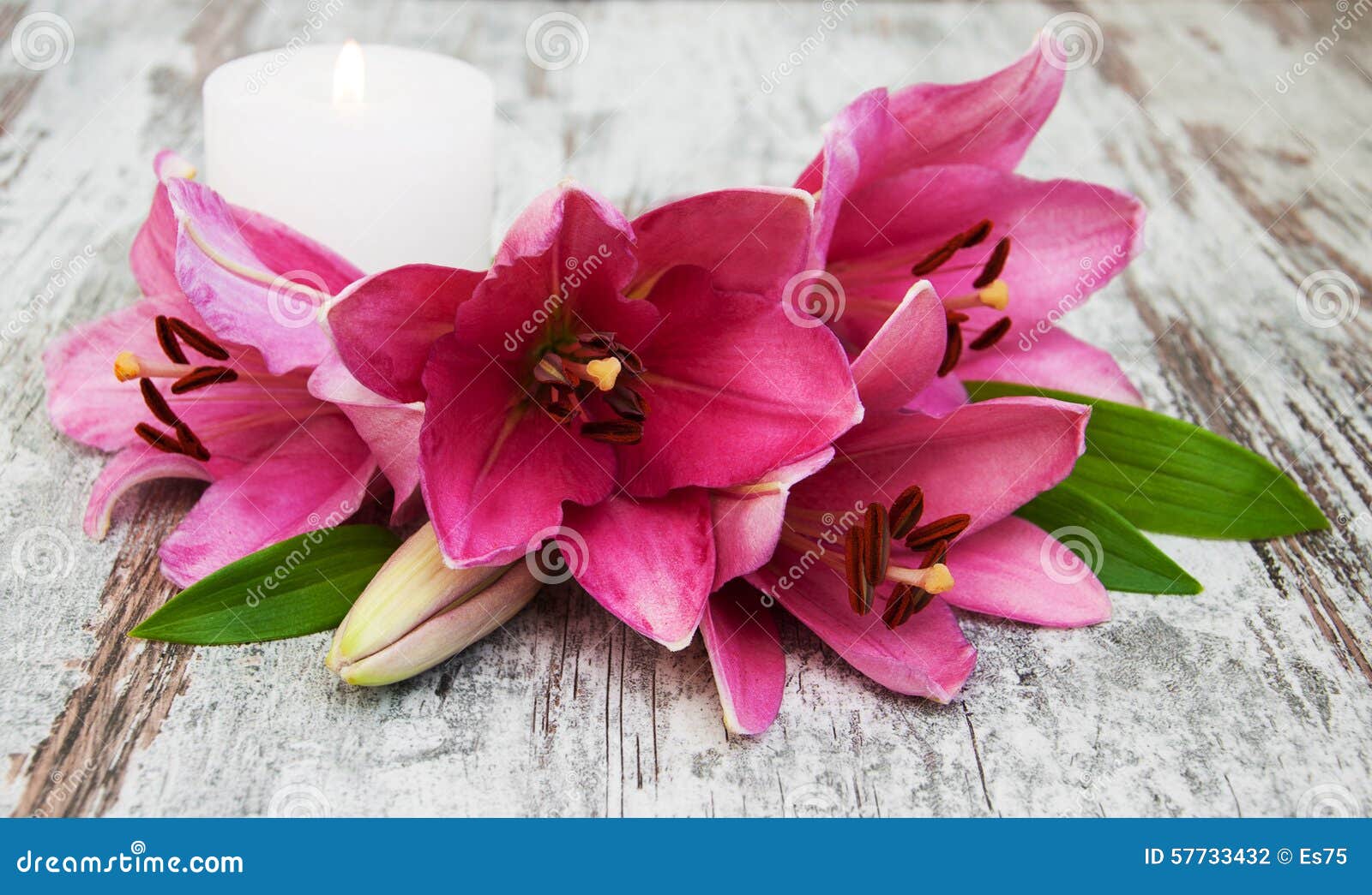 Pink Lily Flower and Candle Stock Photo Image of fresh, beautiful