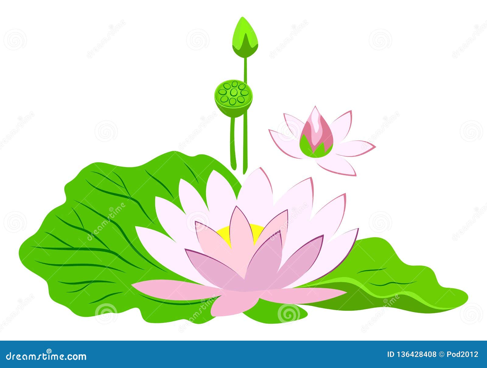 Pink Lotus Flower With Green Leaves. Stock Vector