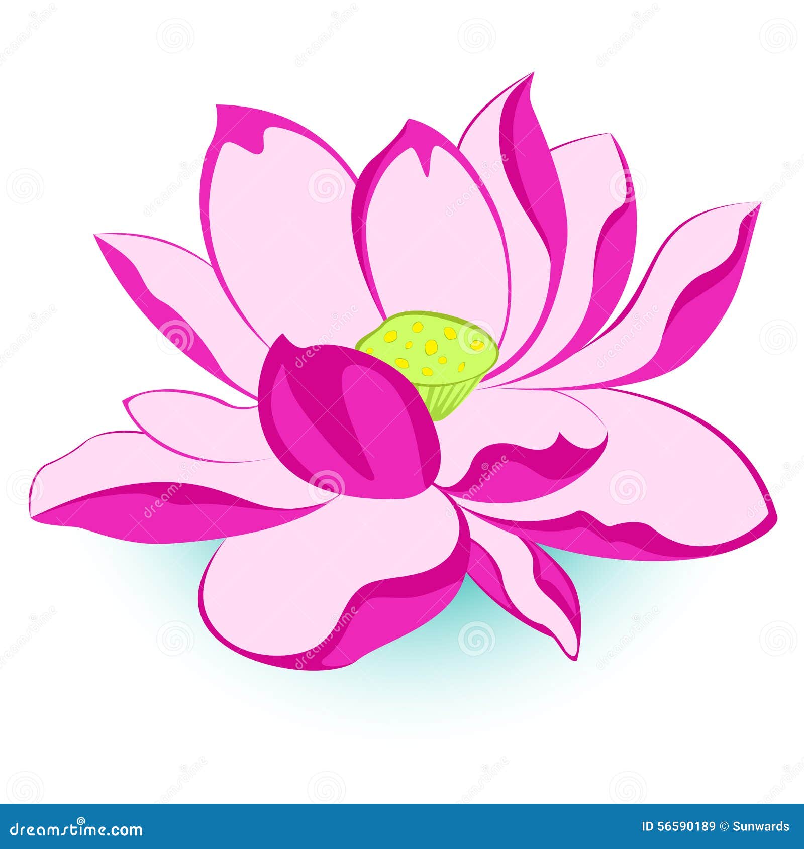 Pink Lotus Flower stock vector. Illustration of plant - 56590189