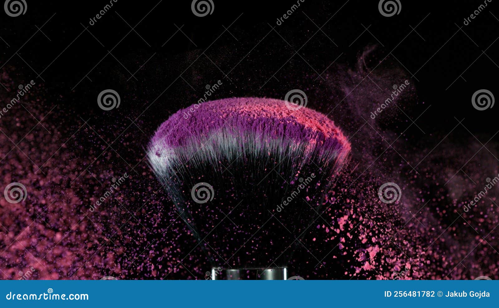 Pink Makeup Powder on Brush Stock Photo Image of facial, fall 256481782