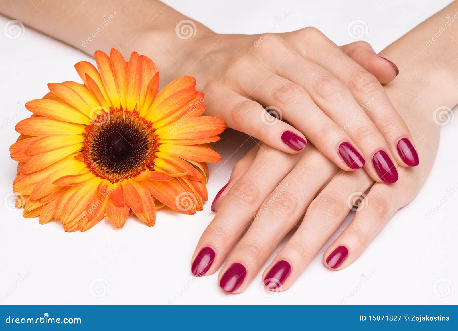 pink manicure and orange flower