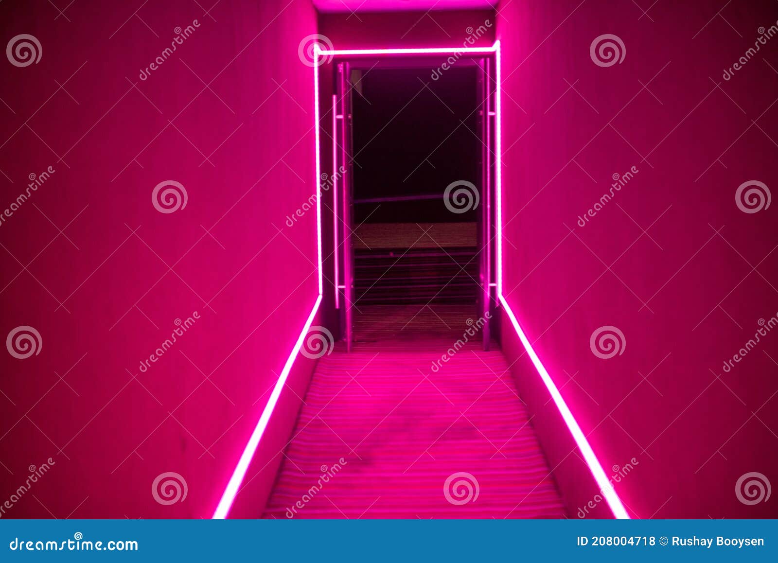 Pink Neon Lights Inside of Empty Theatre Stock Photo Image of neon