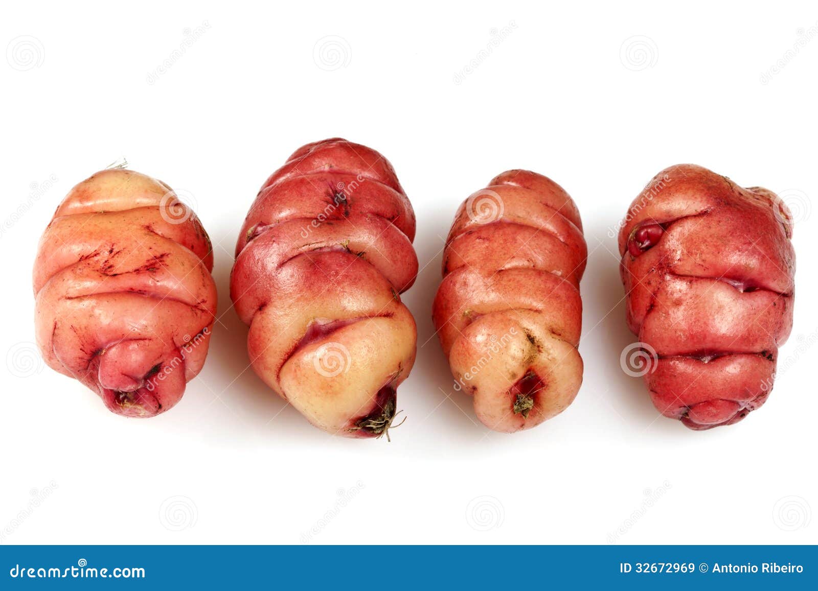 pink oca tubers