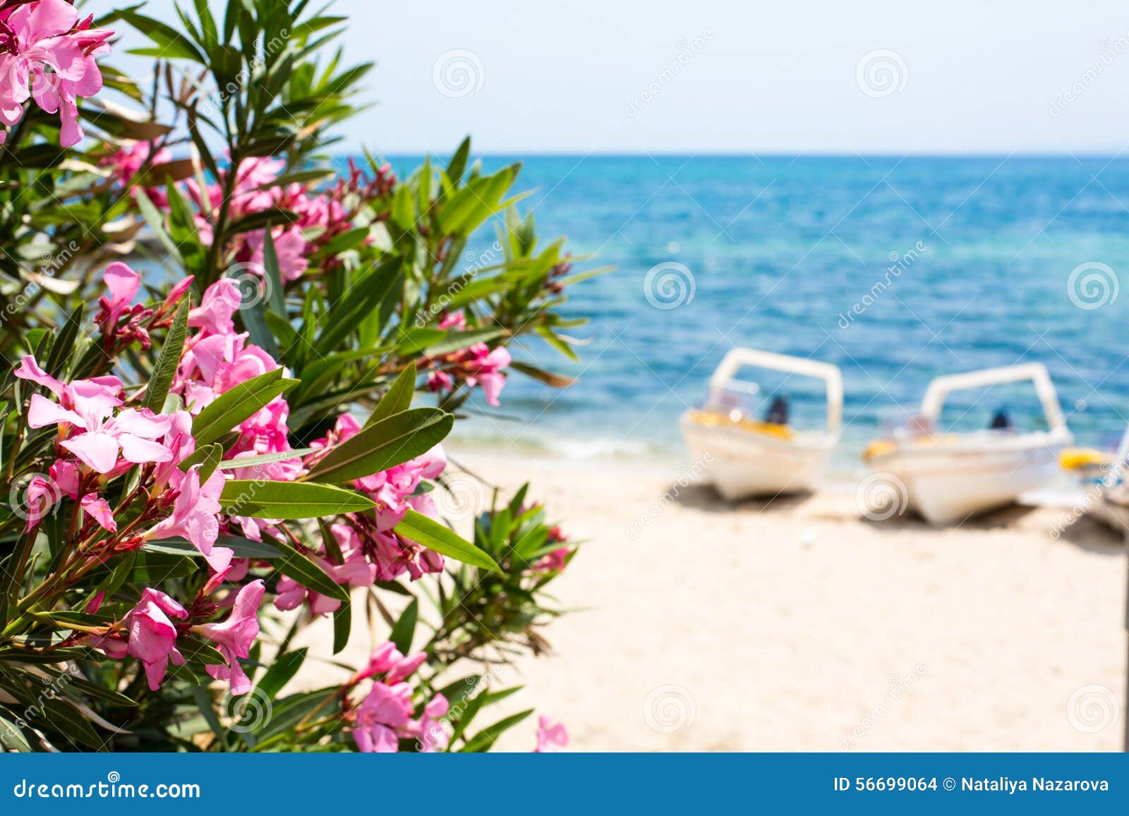 pink oleander flowers, blue sea and boats summer background