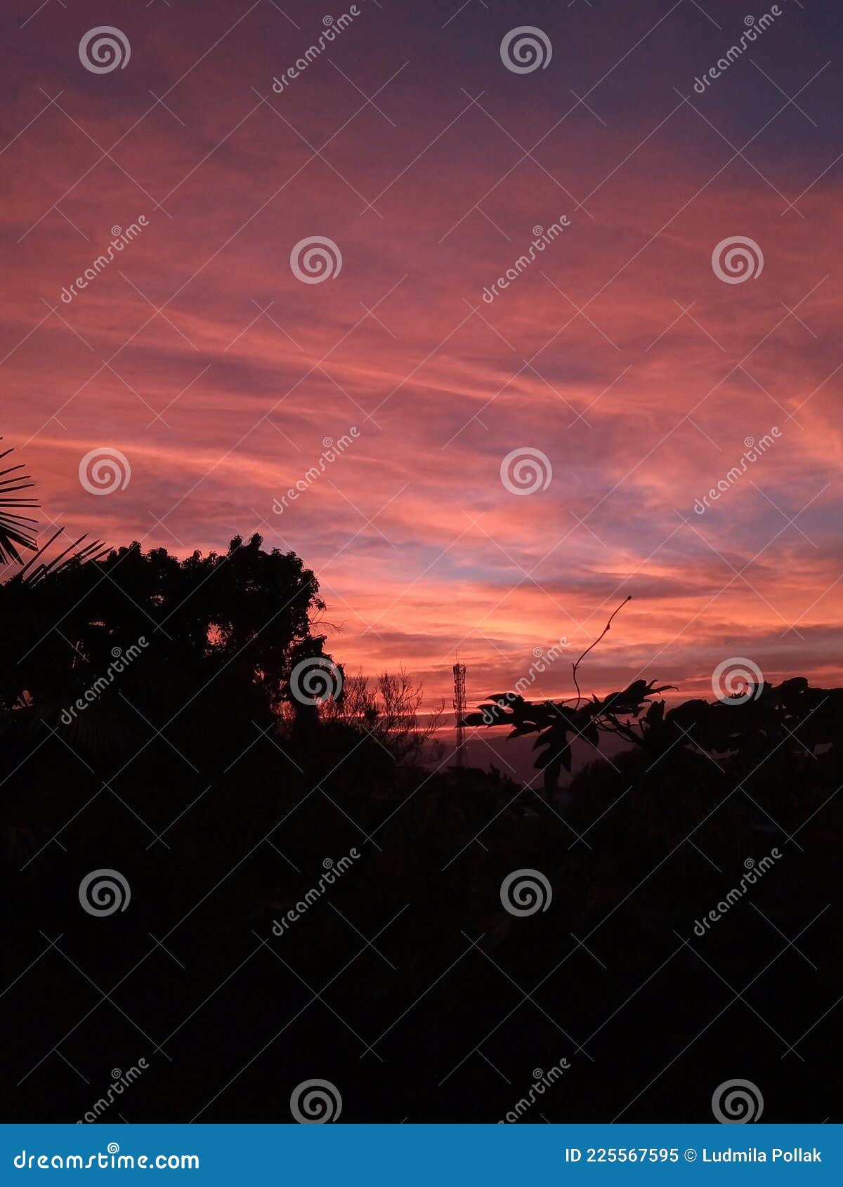 Pink and orange sunset stock image. Image of treeshadow 225567595