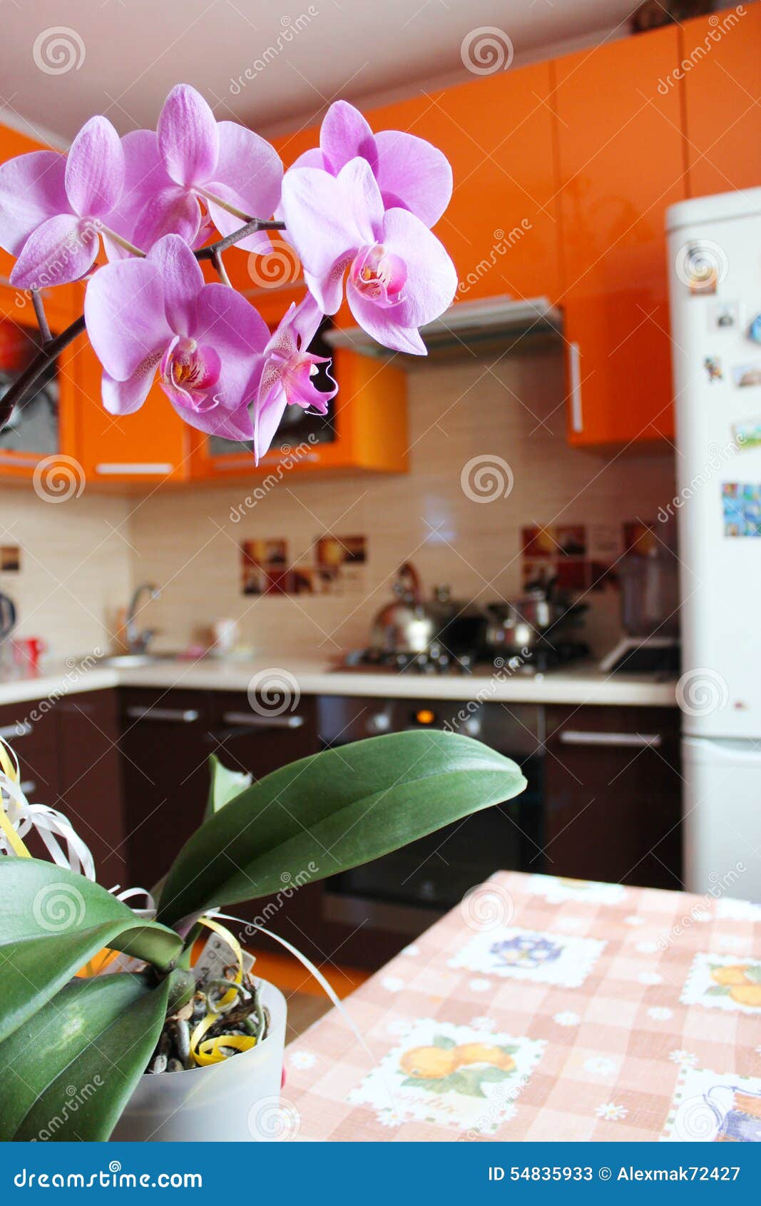 Pink Orchid in Luxurious Kitchen Stock Image Image of luxurious