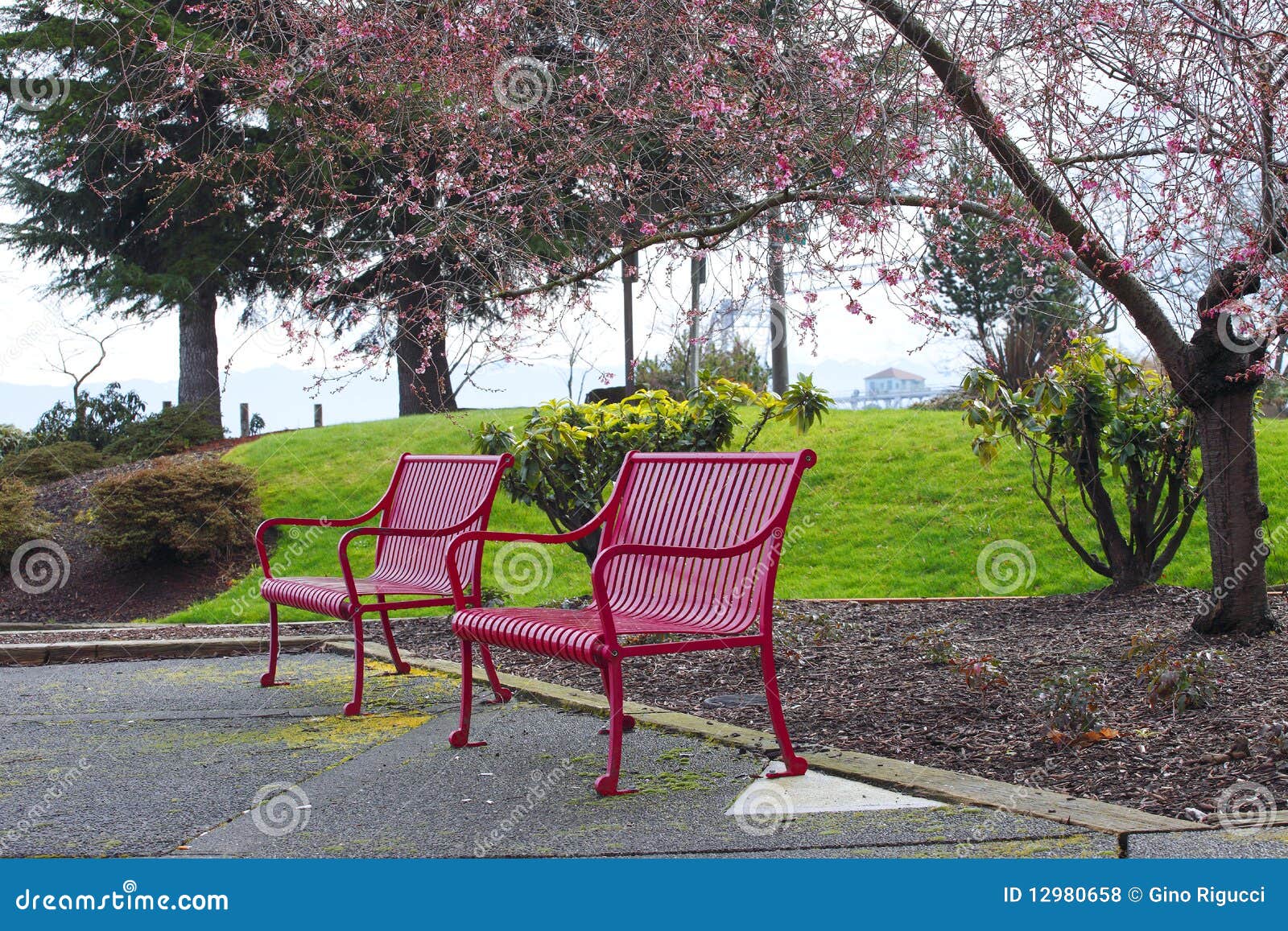 Pink outdoor benches stock photo. Image of sunlight, green 12980658