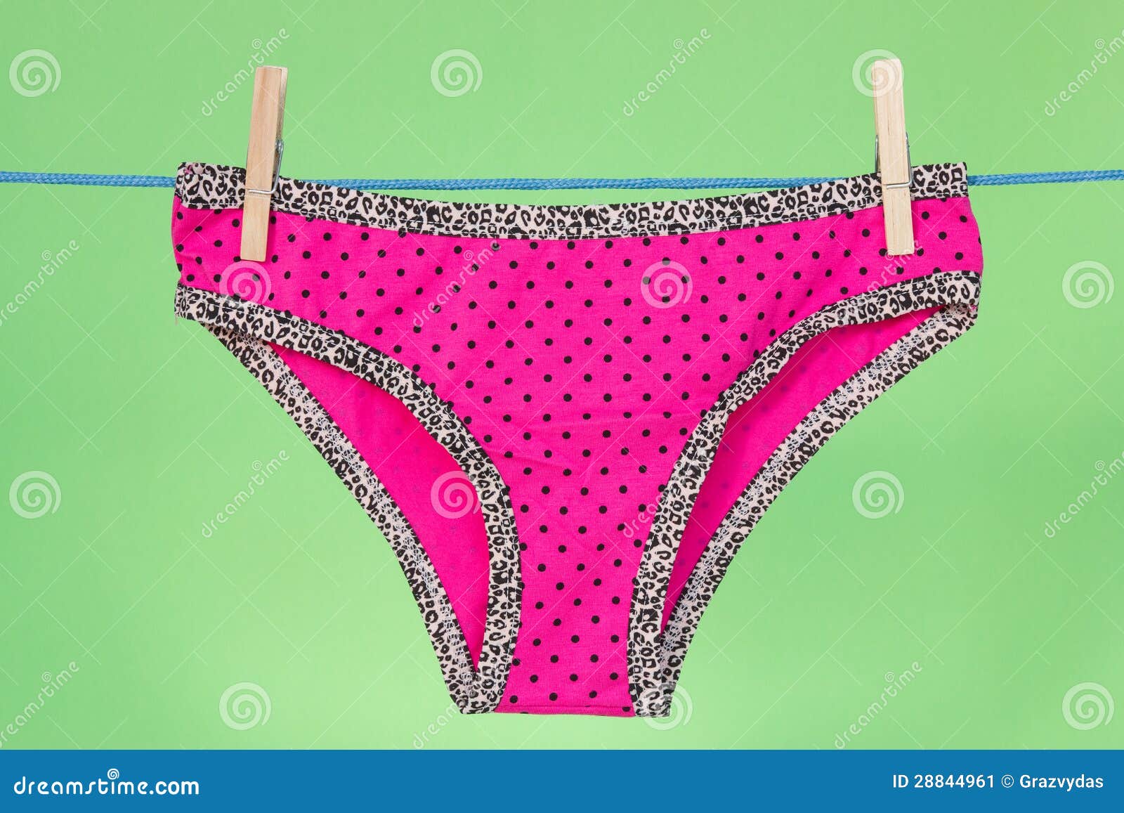 Pink Panties On The Green Background Stock Image Image 28844961