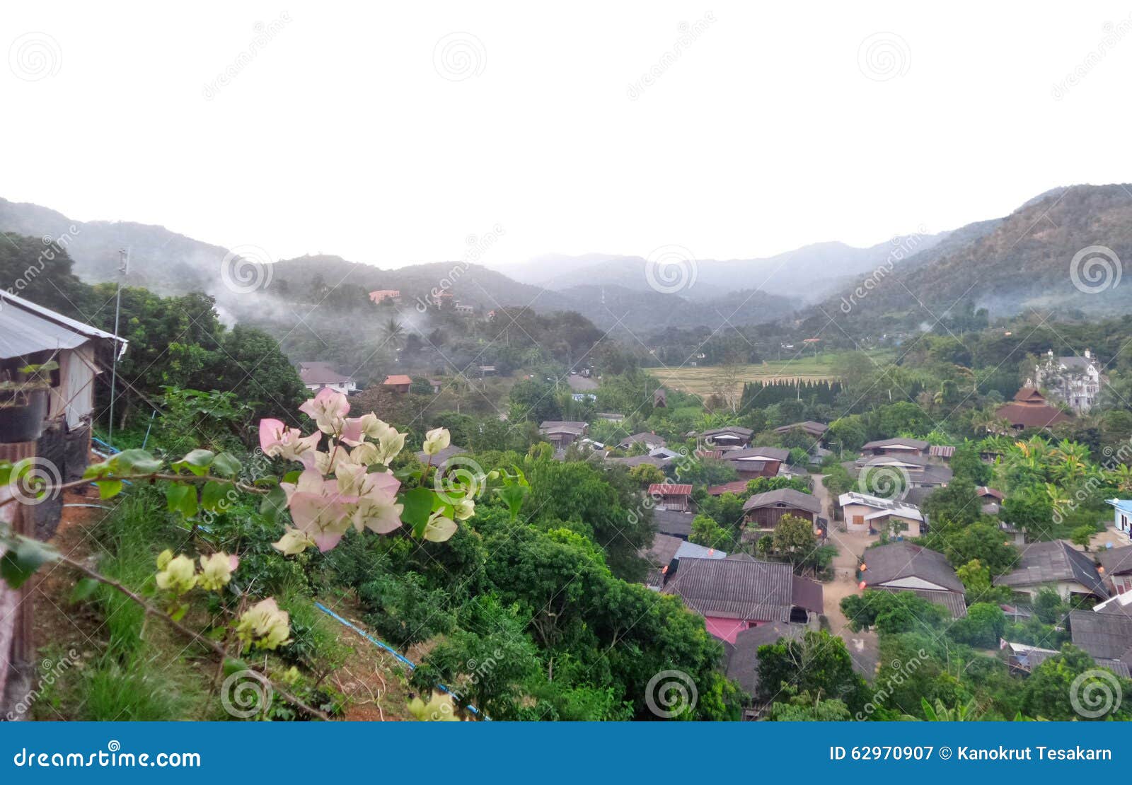 Pink Paper Flower and Mountain View Stock Image Image of town, flower