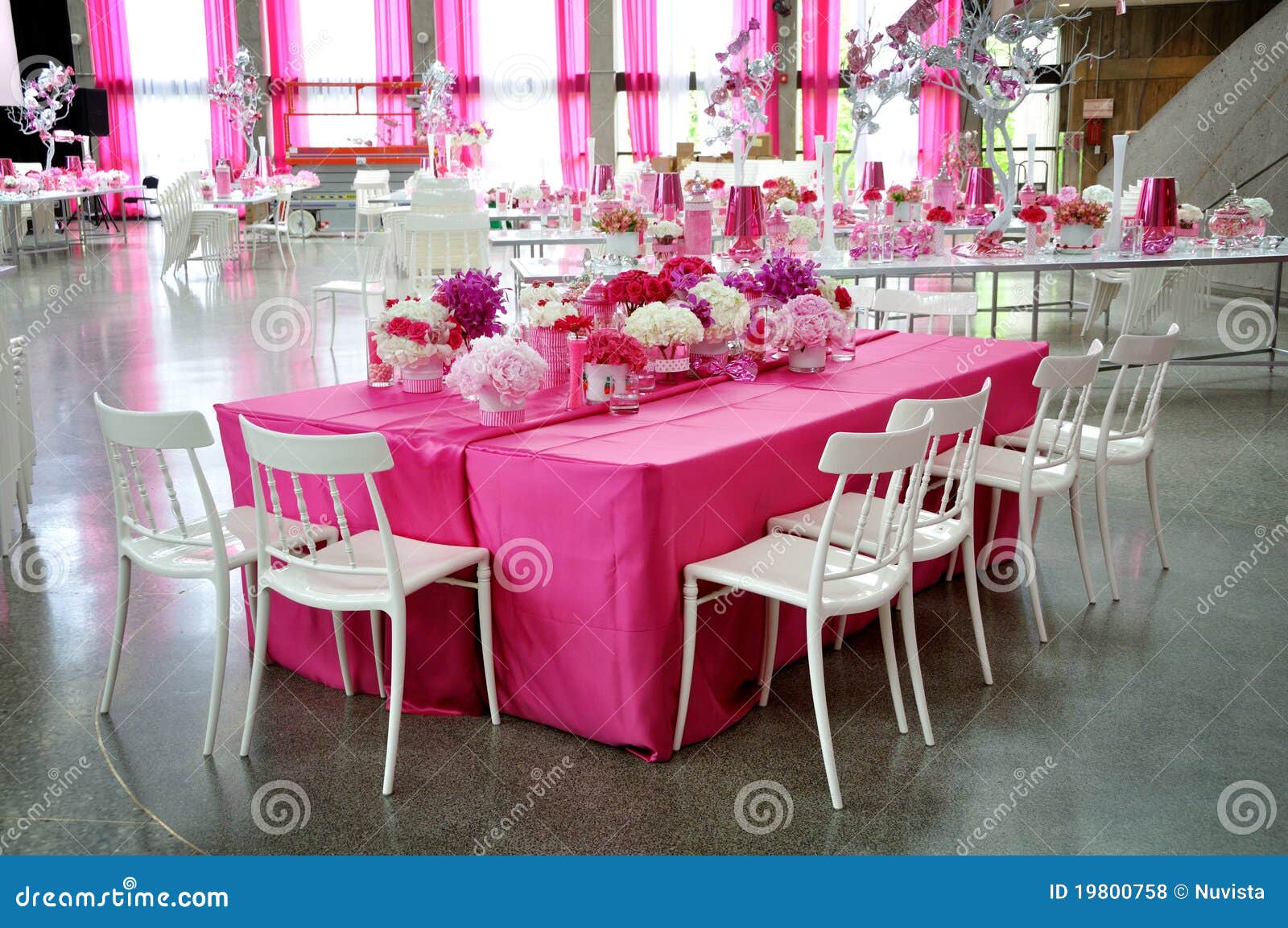  Pink  Party  stock photo Image of hall pink  happy flower 