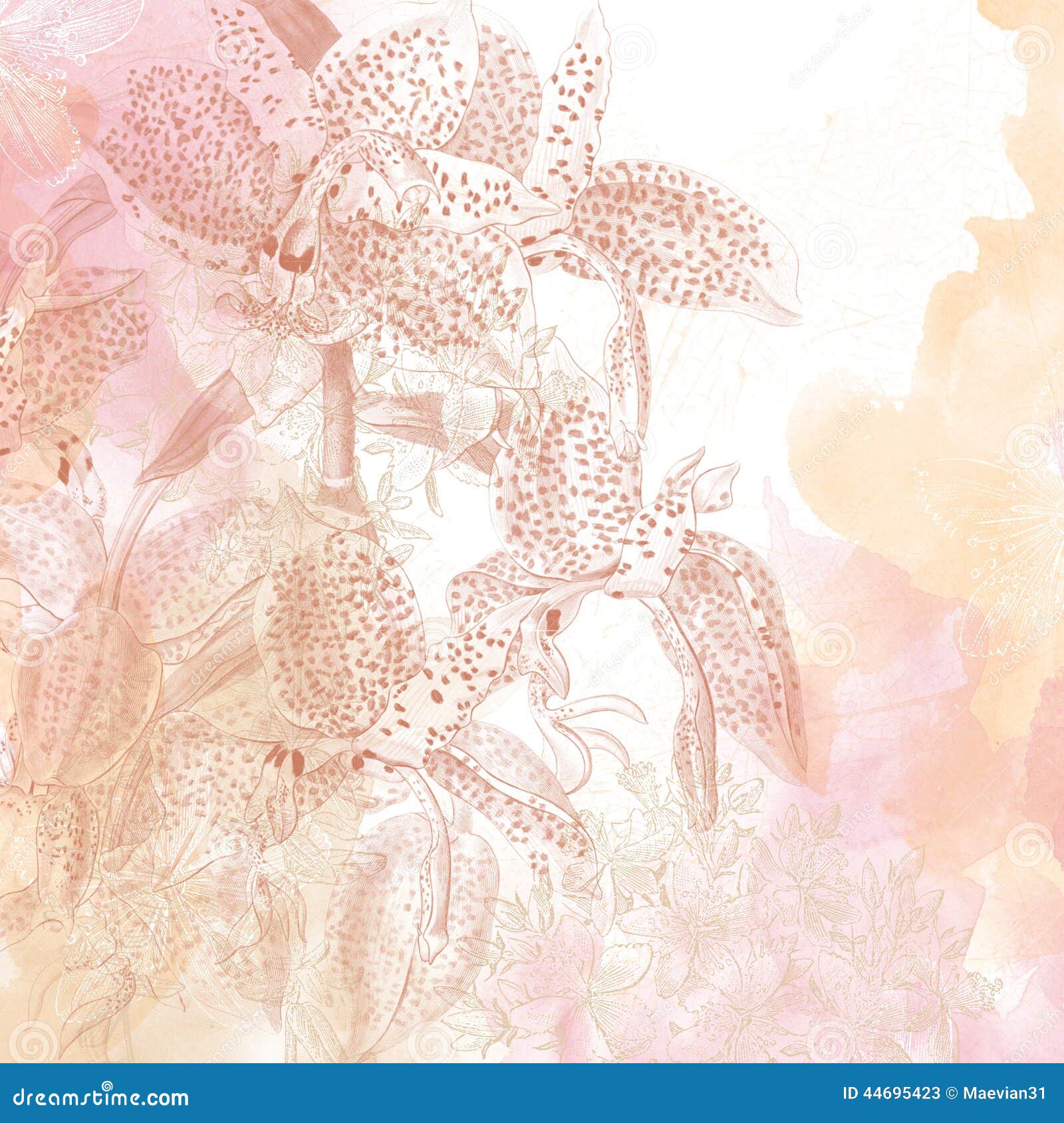 Pink and Peach Floral Background Stock Illustration - Illustration of floral,  watercolour: 44695423