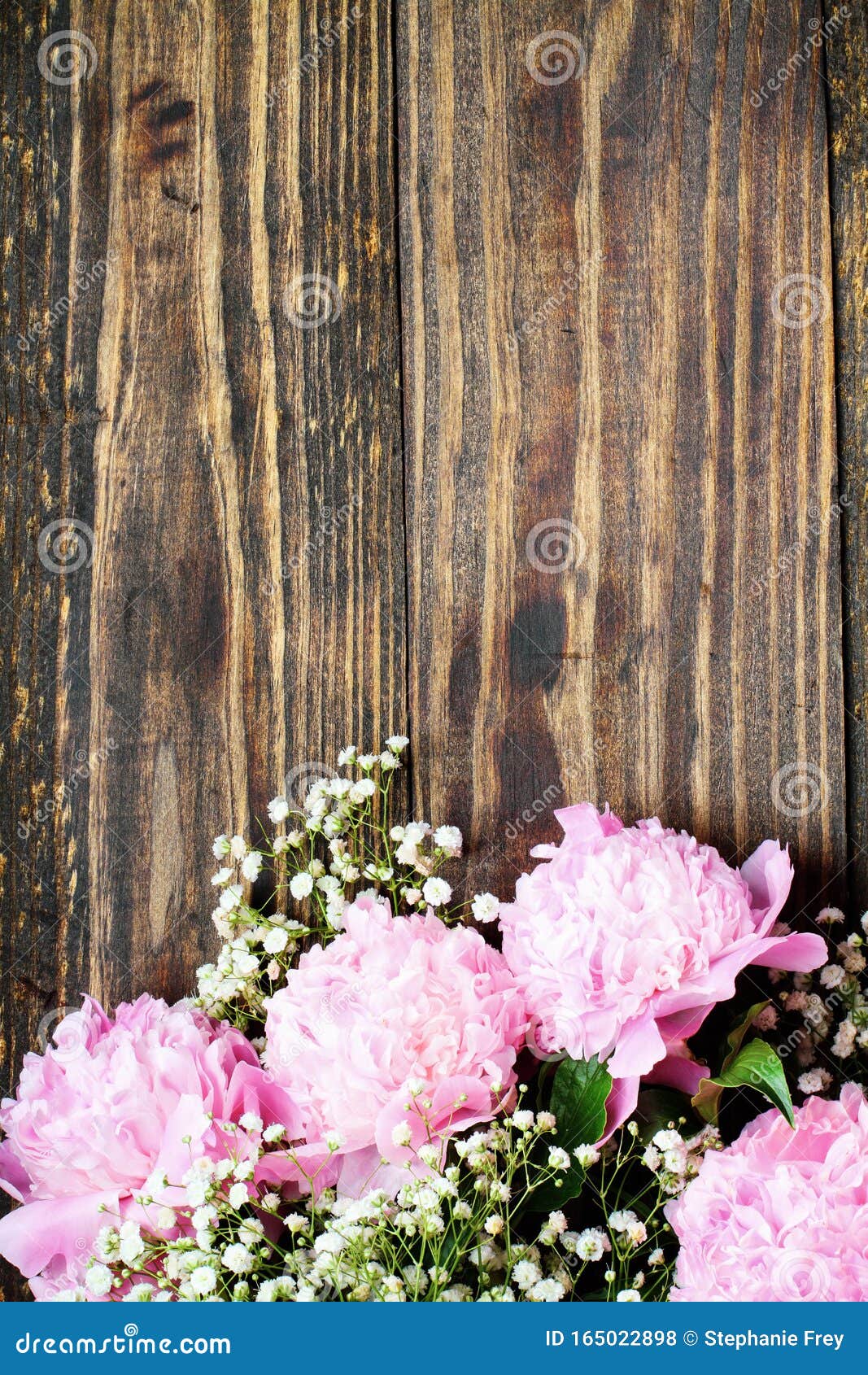 pink peonies and babys breath flowers over a natural rustic wood background