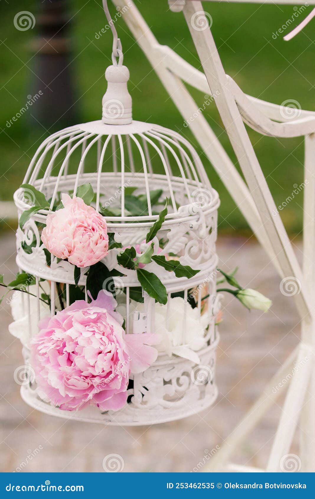 Pink Peonies in a Cage at a Wedding Ceremony Stock Image Image of
