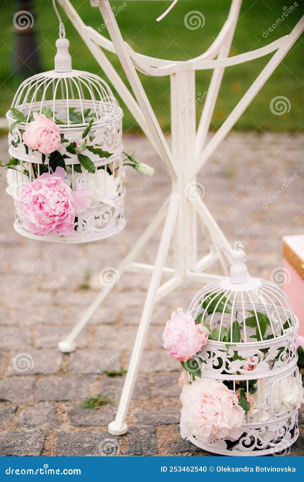 Pink Peonies in a Cage at a Wedding Ceremony Stock Photo Image of