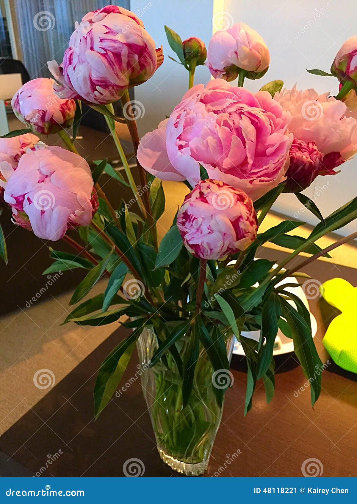 Pink peonies stock image. Image of vase, peonies, flowers 48118221